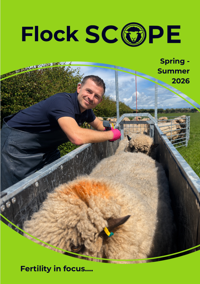 Summer 2026 newsletter for sheep farmers, including how to get the most from teaser rams