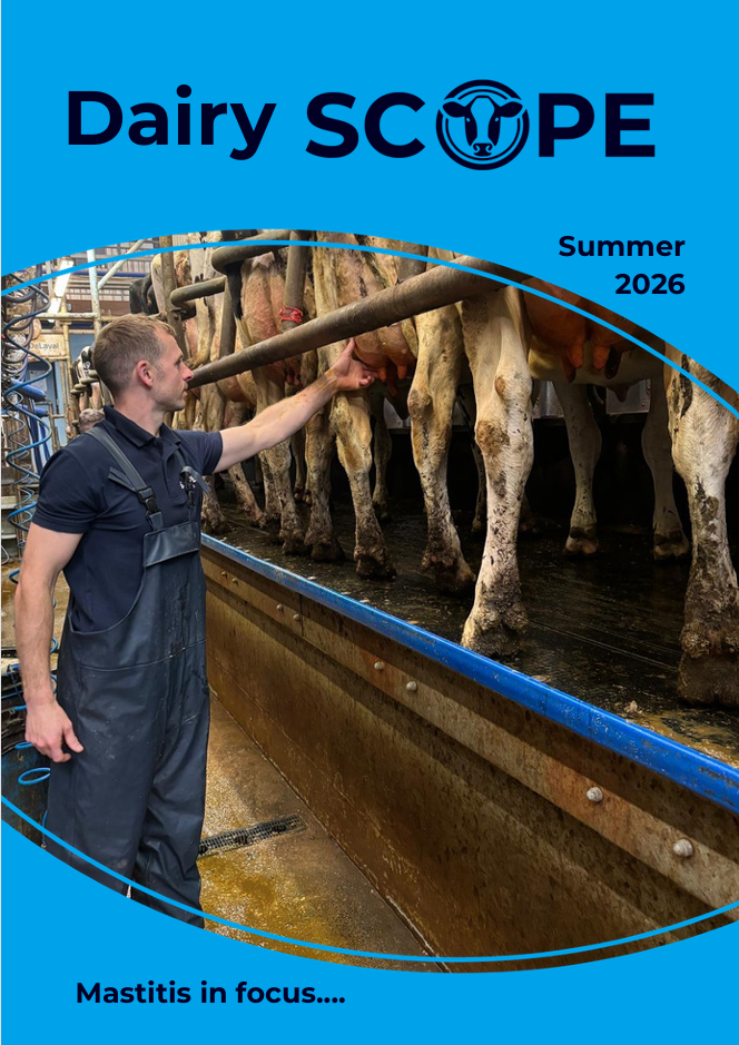Summer 2026 newsletter for dairy farmers including trouble shooting high bactoscans