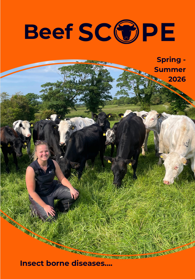 Summer 2026 newsletter for Beef farmers including tick bourne diseases of cattle