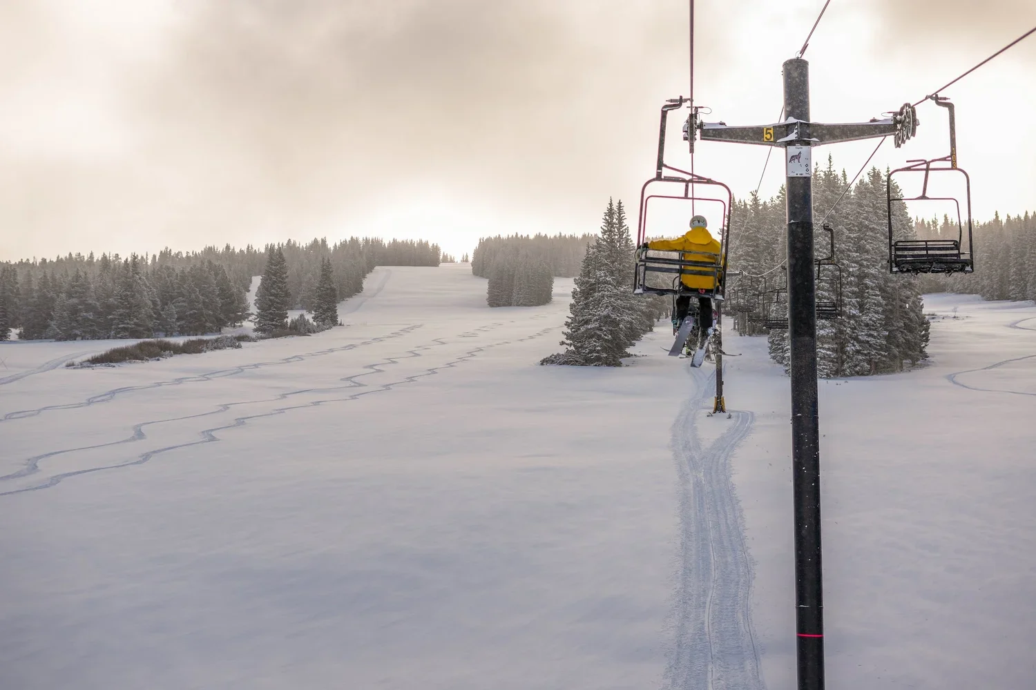 First Chair