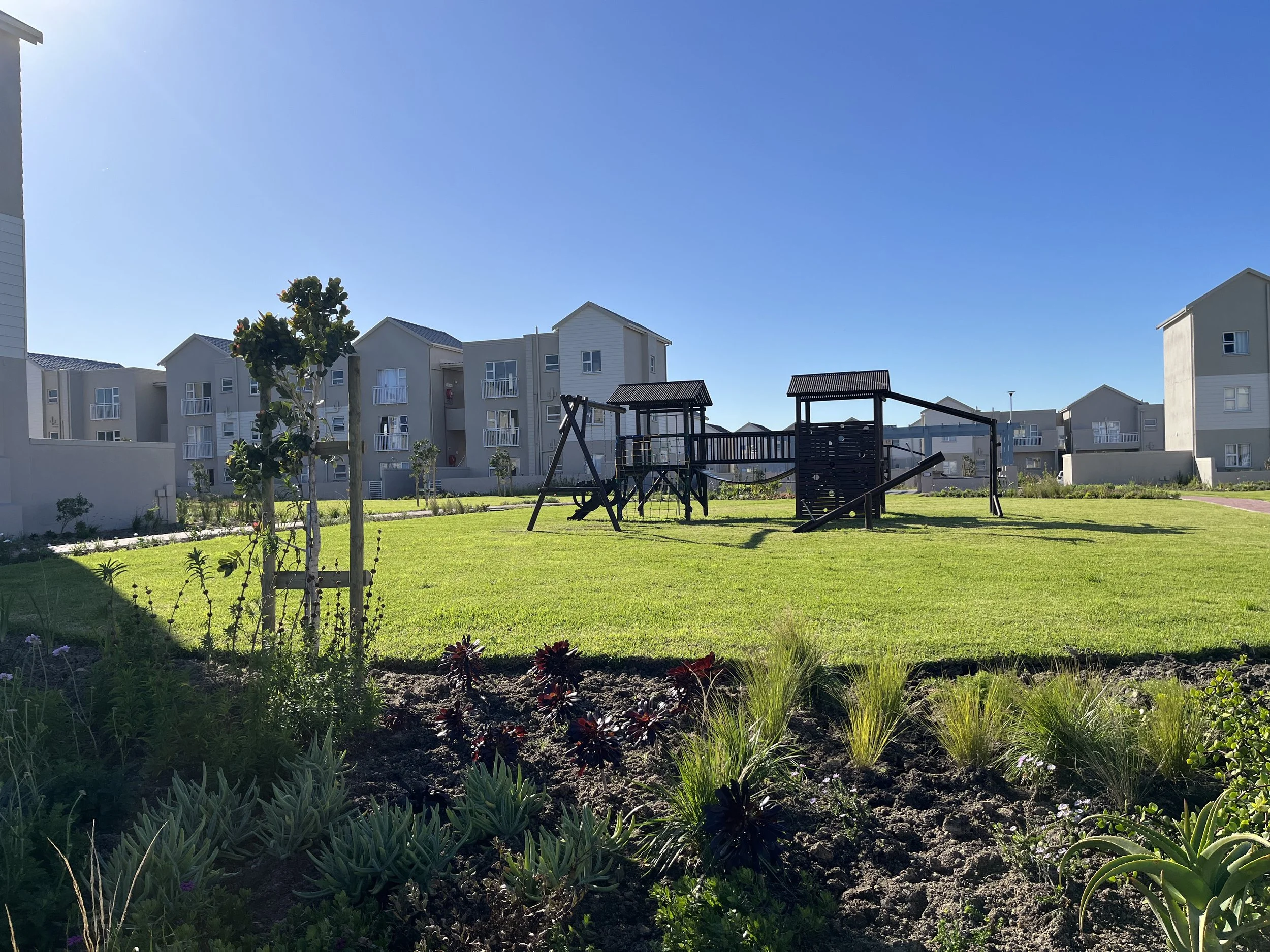 A landscaped area with small flowering plants and a young tree in the foreground, green grass, and apartments or condos in the background under a clear blue sky.