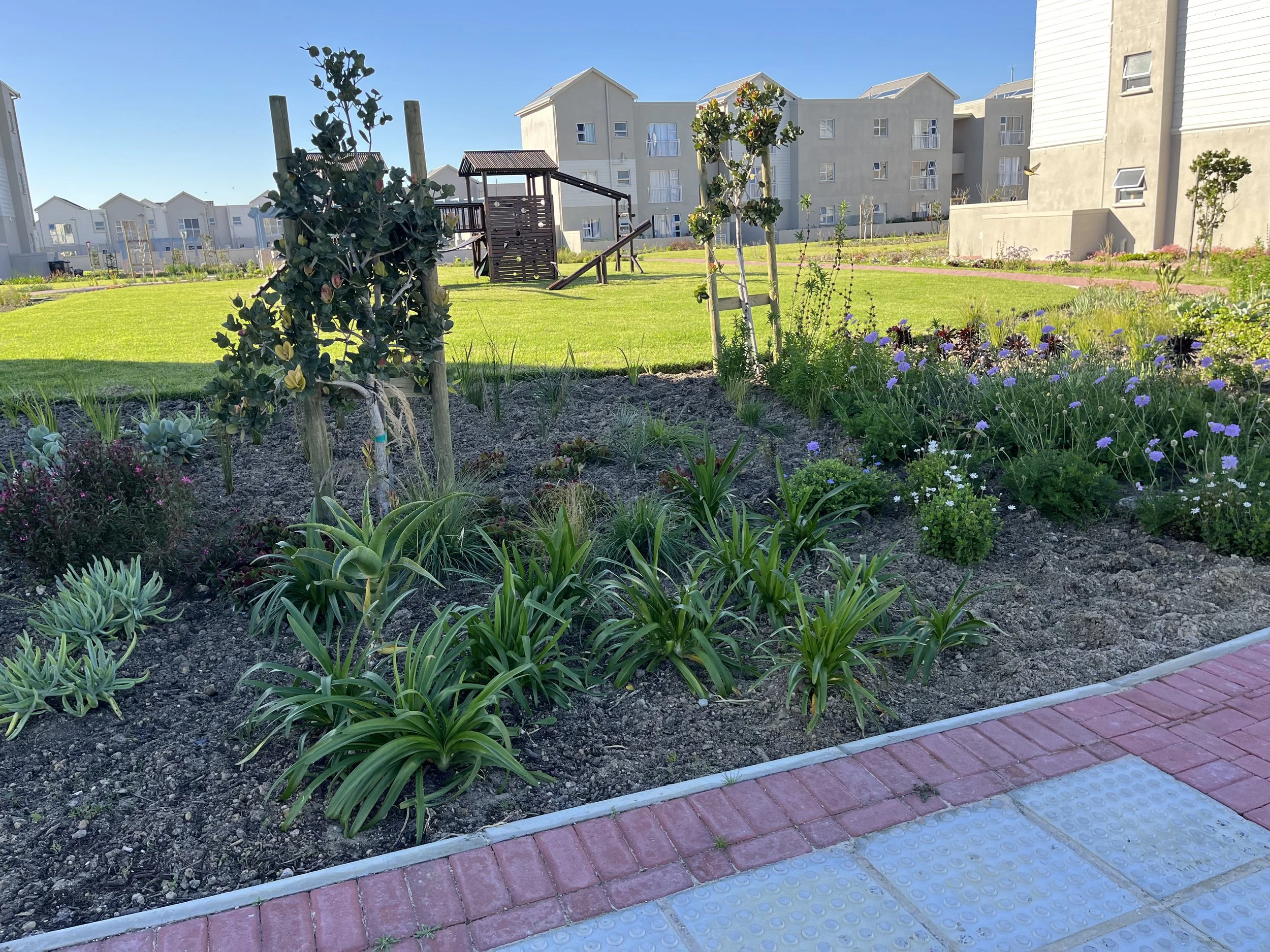 A landscaped area with green grass, young trees with supports, and flowering plants, bordered by a brick sidewalk, with modern apartment buildings in the background under a clear blue sky.