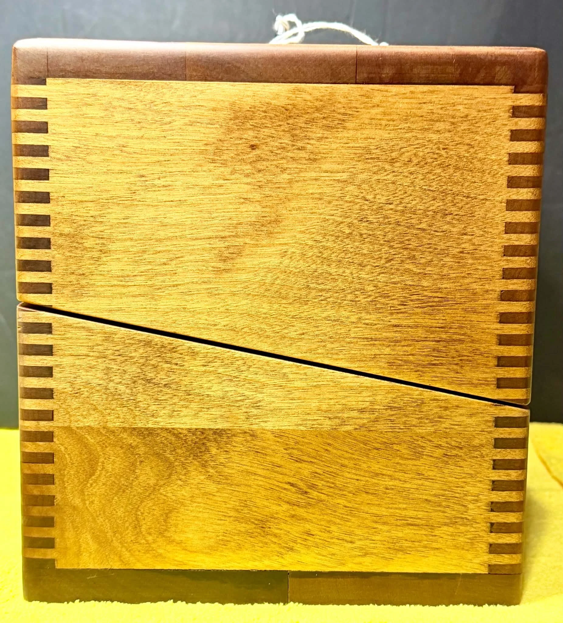 image13.jpeg