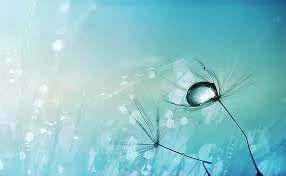 Winner, Flash Fiction