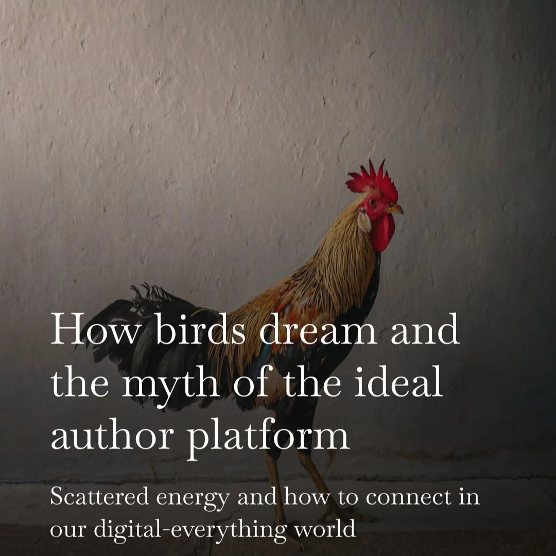 How birds dream and the myth of the ideal author platform