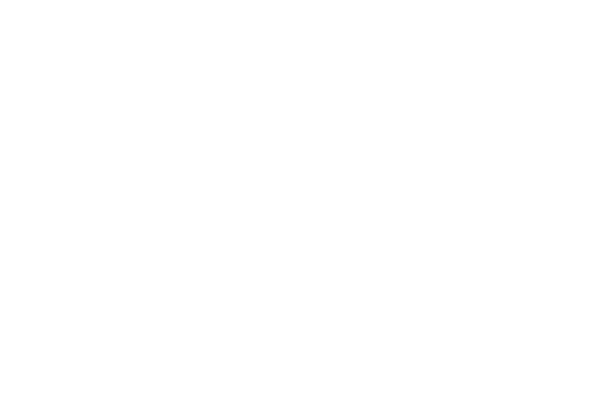 Saine Strategies, Inc. 