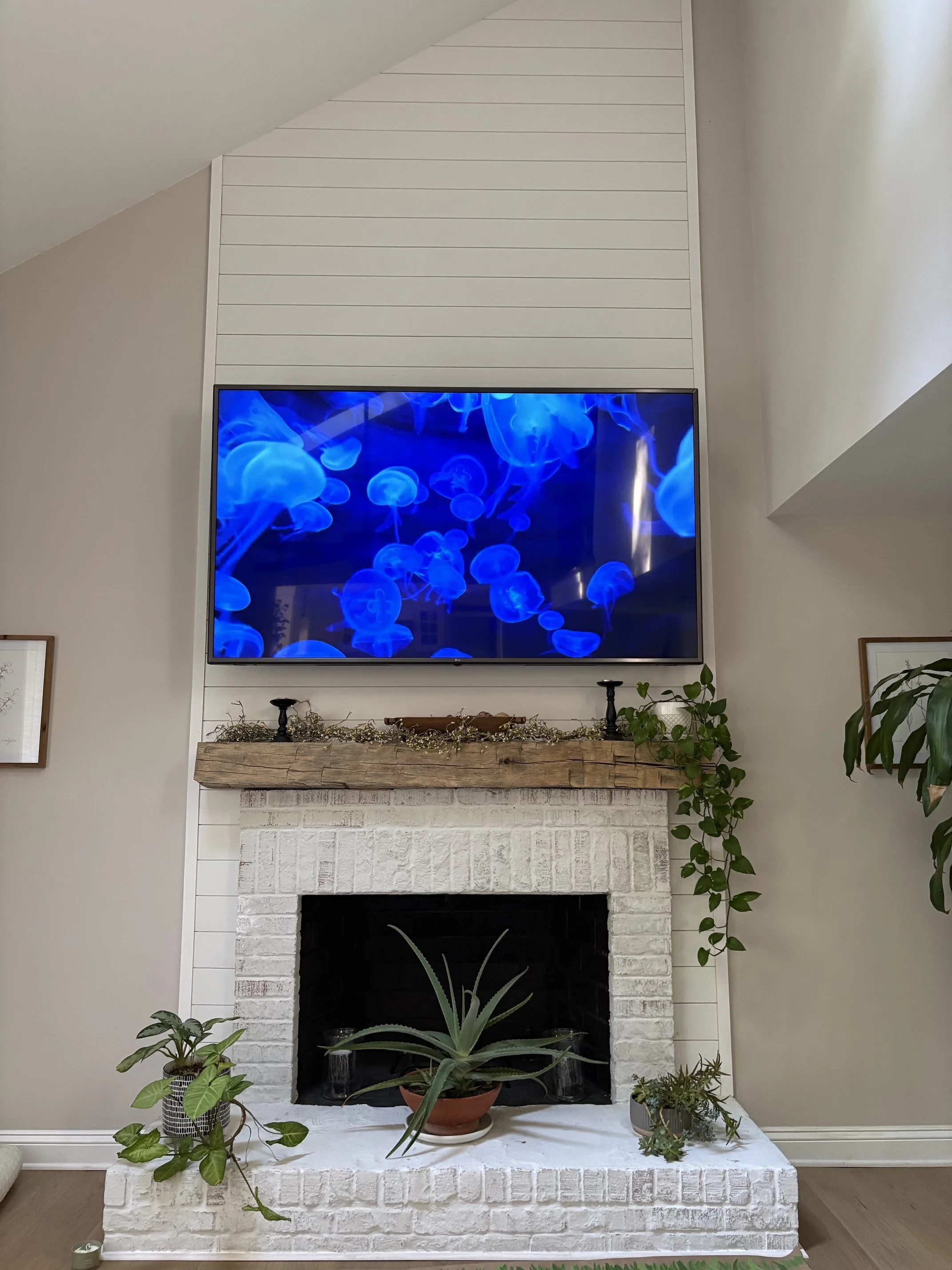 Living room fireplace with a wooden mantel, over the mantle a flat screen TV displaying blue and purple jellyfish, surrounded by green plants and framed artwork.