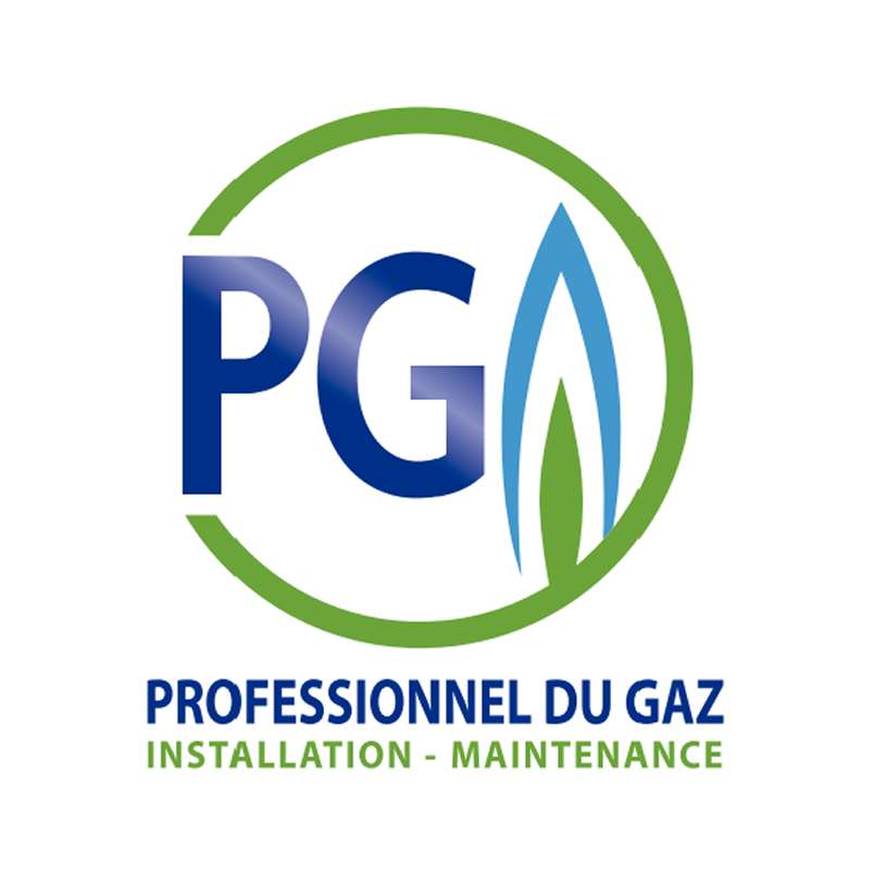 Logo de la société Professionnel du Gaz, spécialisée dans l'installation et la maintenance de gaz, avec un cercle vert, les lettres PG en bleu, et une flamme stylisée bleue et verte.