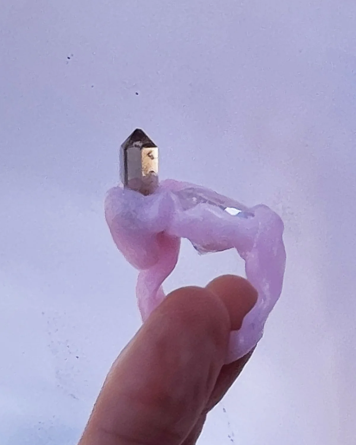 brun rosa 2.jpg