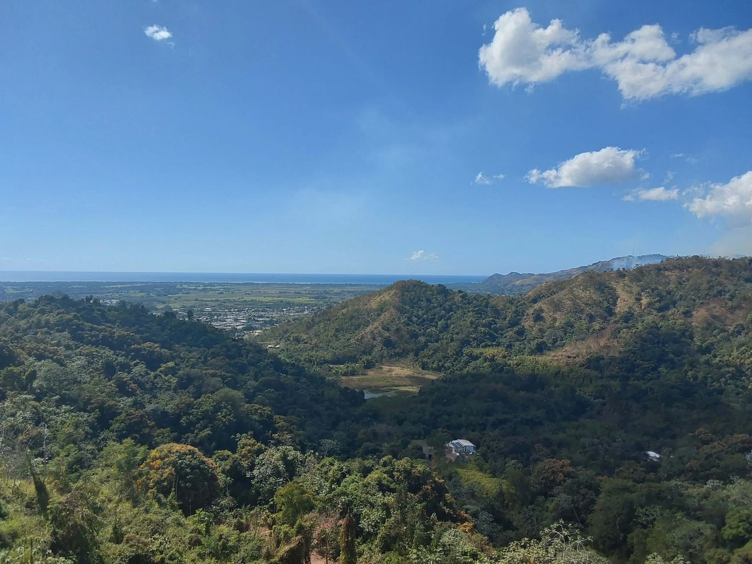 Become a steward of Casa tortuga, PR