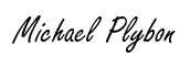 Michael Plybon_Public_Path_Advisor_Founder