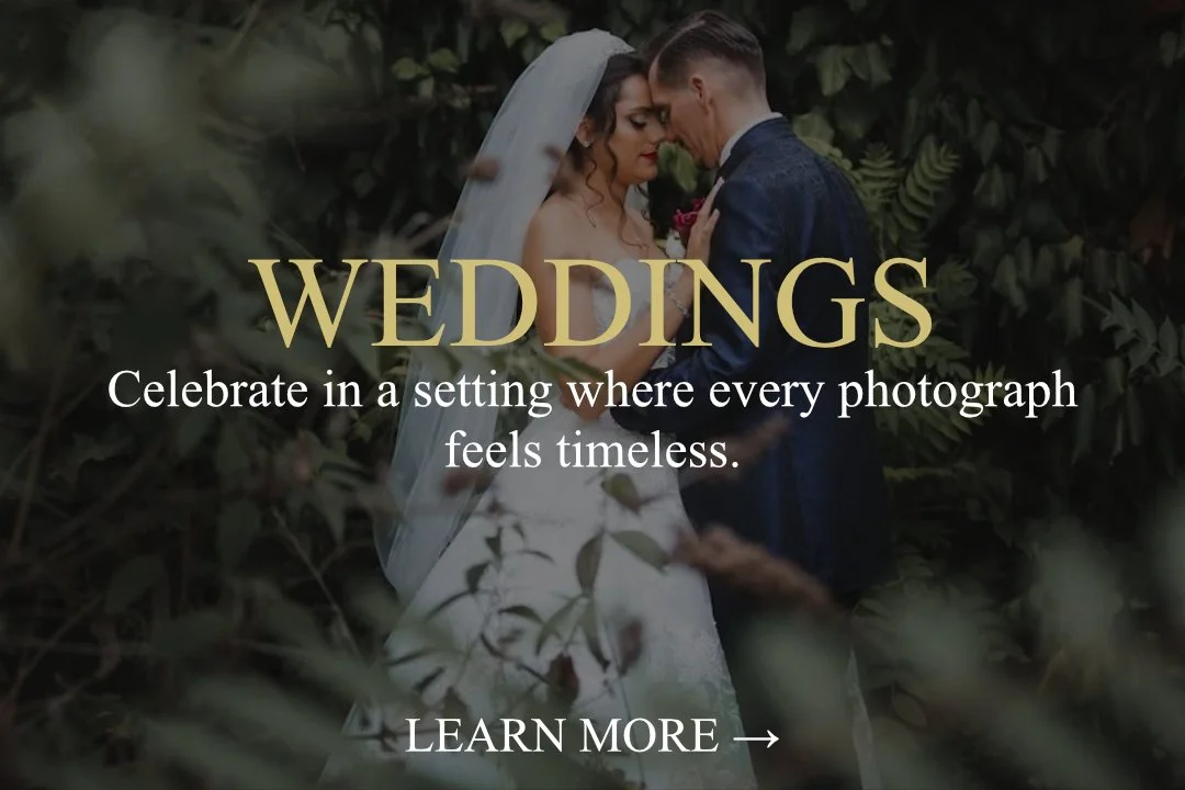A bride and groom touch foreheads in a forest setting, surrounded by greenery, during their wedding.