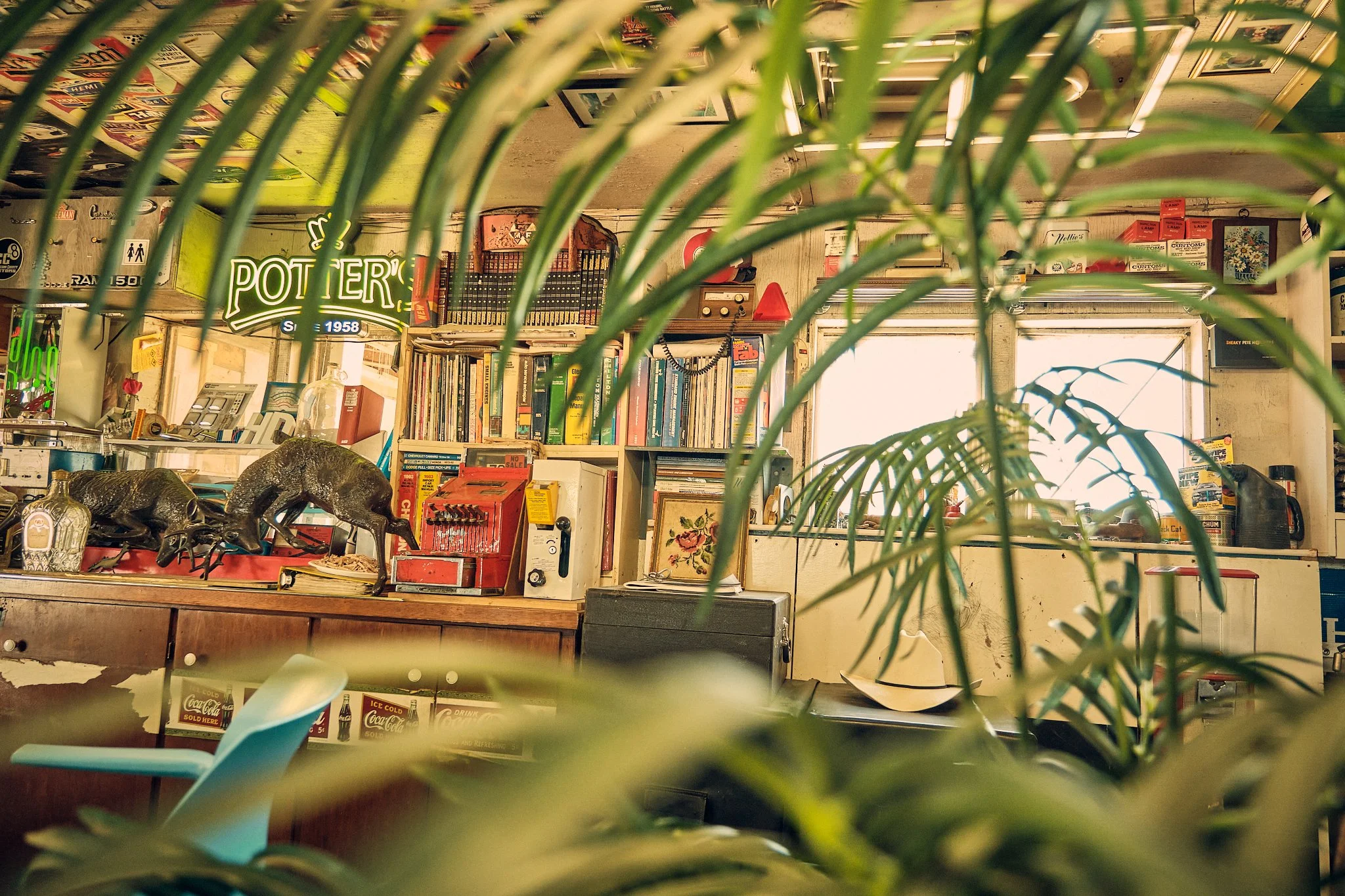 Interior of an eclectic thrift or antique store with books, vintage signs, and various decorative items seen through green houseplant leaves in the foreground.