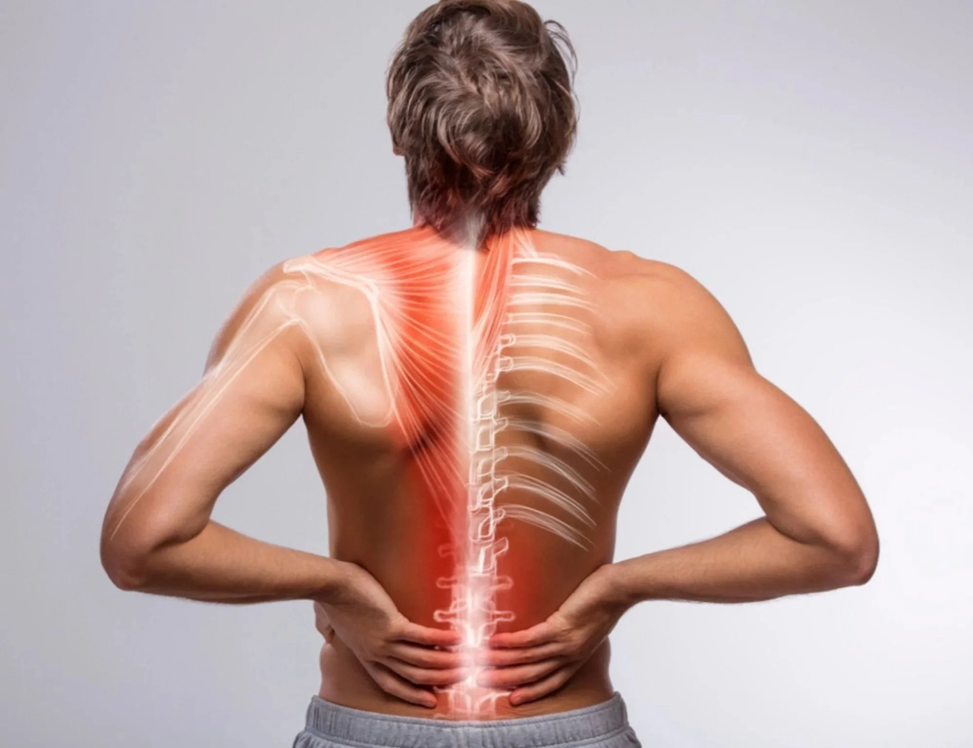 A shirtless man facing away with a digital illustration of the human spine and back muscles overlaid on his back.