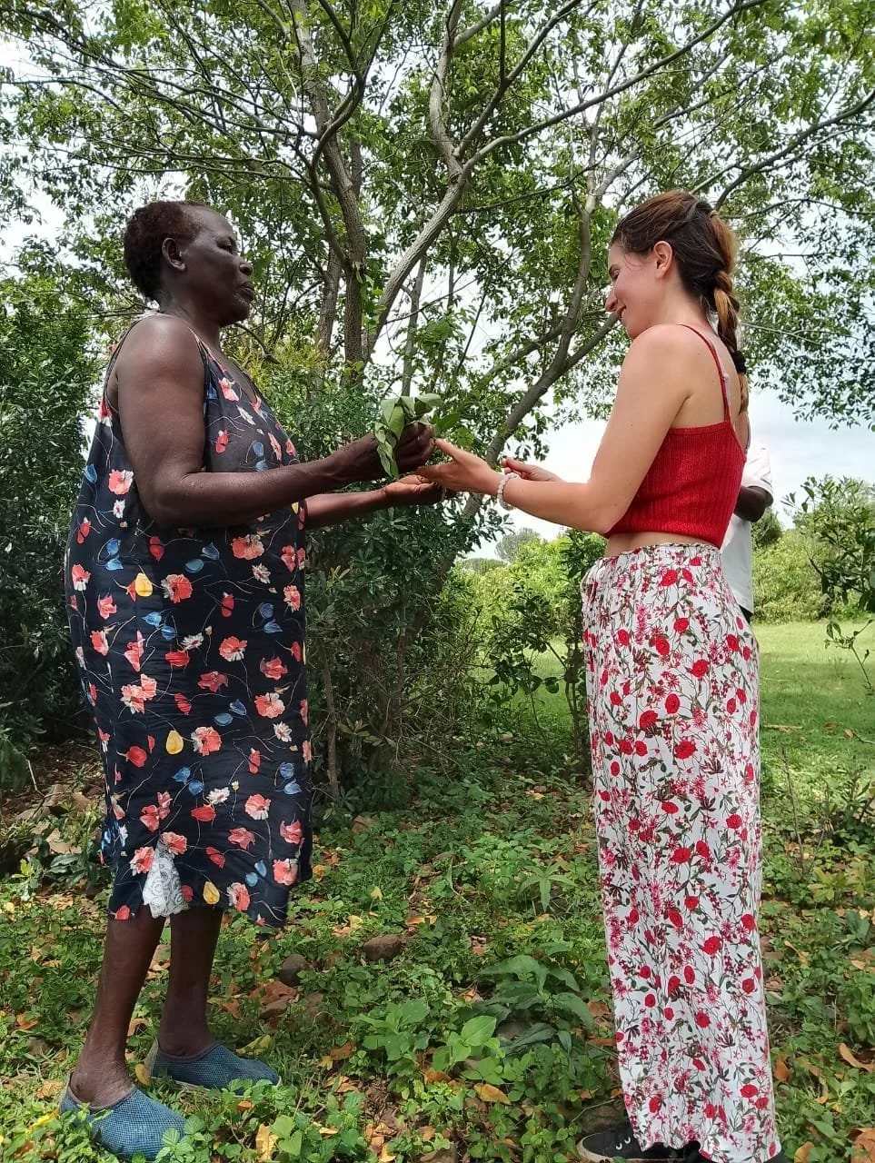 Two women exchanging a leaf in a lush outdoor setting with trees and grass. One woman is elderly with dark skin, short curly hair, wearing a floral dress and slippers. The other woman is younger with light skin, long brown hair in a braid, wearing a red sleeveless top and white floral pants.