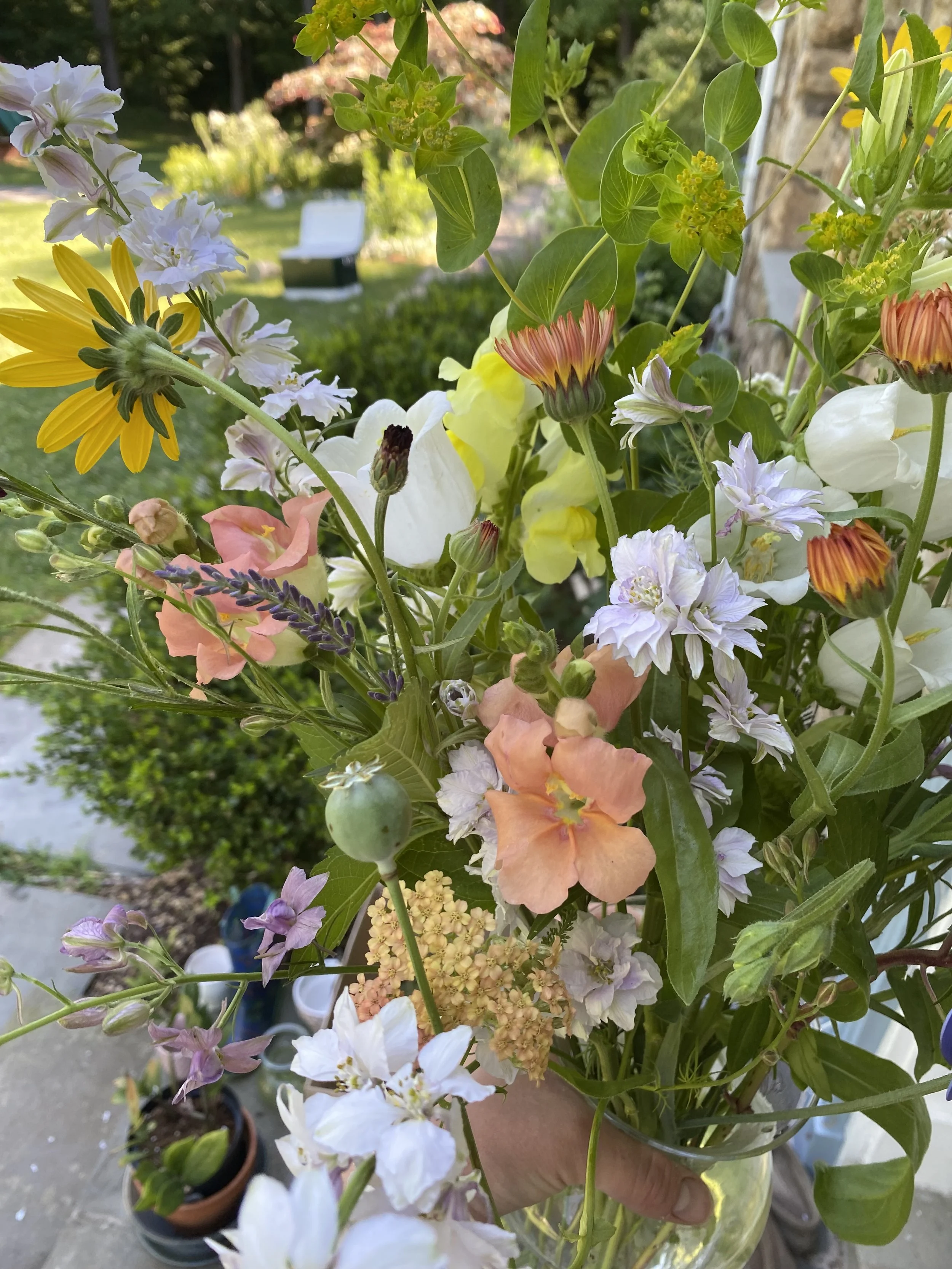 IMG_8676.jpeg