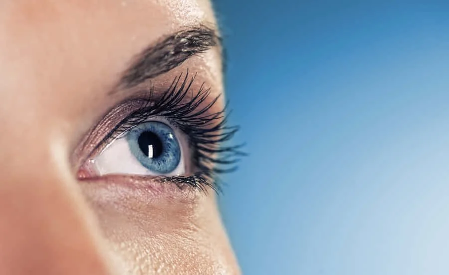 Close-up of a blue eye with long eyelashes, brow, and skin around the eye.