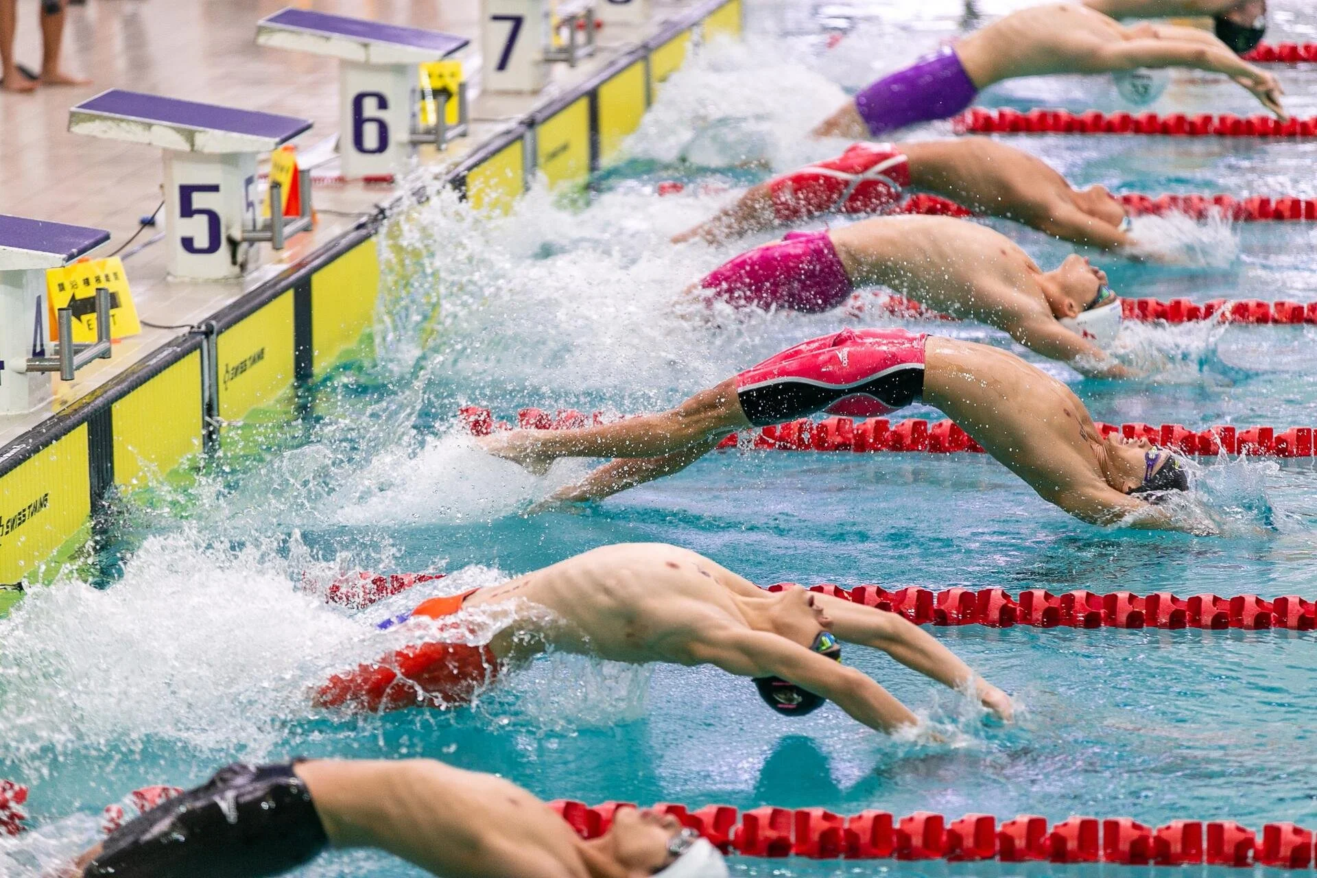 Swimmers competing in a swimming race, diving into the water at the start of the race.