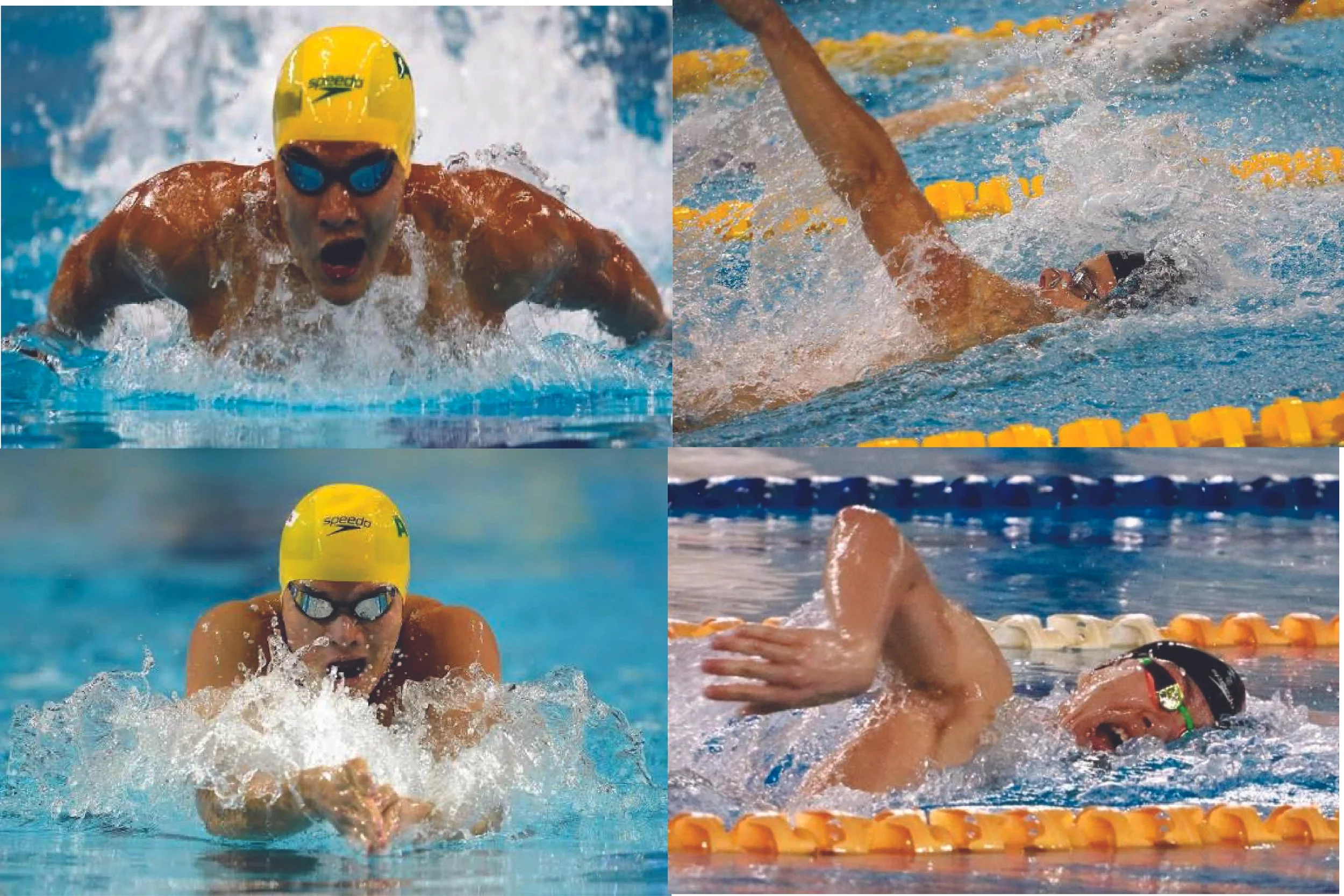 Swimmers competing in a race, wearing yellow caps and goggles, swimming in a pool with lane dividers, focusing on different strokes and techniques.