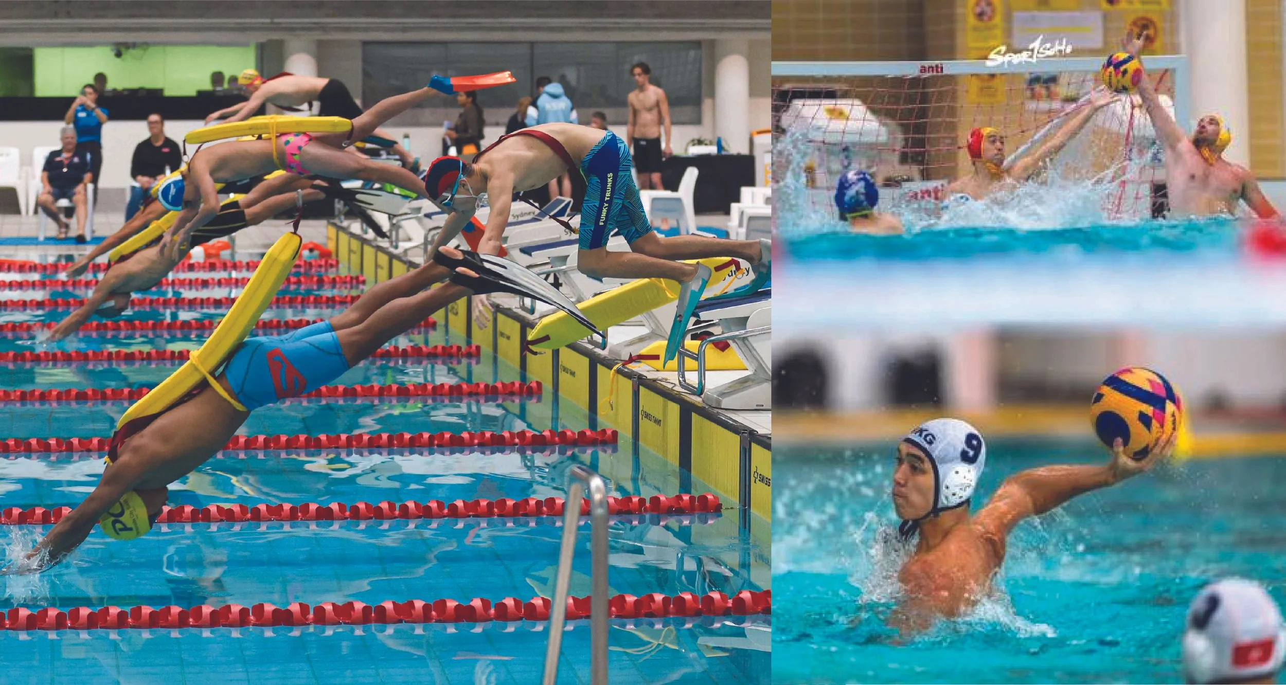 Swimmers diving into the pool from starting blocks during a competitive swimming race, with spectators in the background.