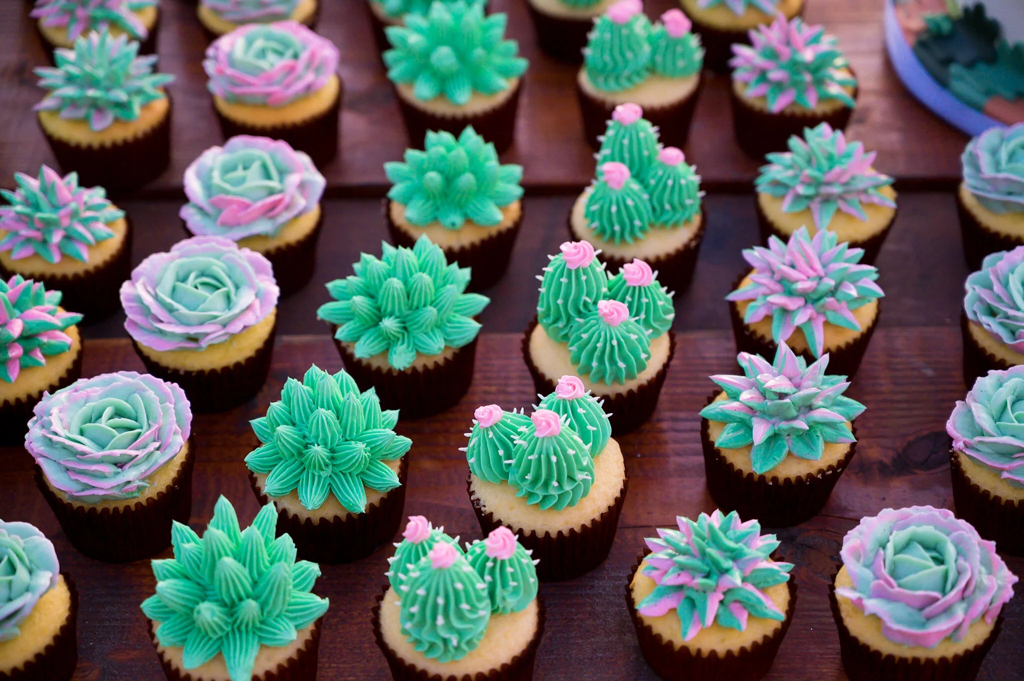 Colorful cupcakes decorated with frosting shaped like cacti and succulents, arranged on a wooden surface.