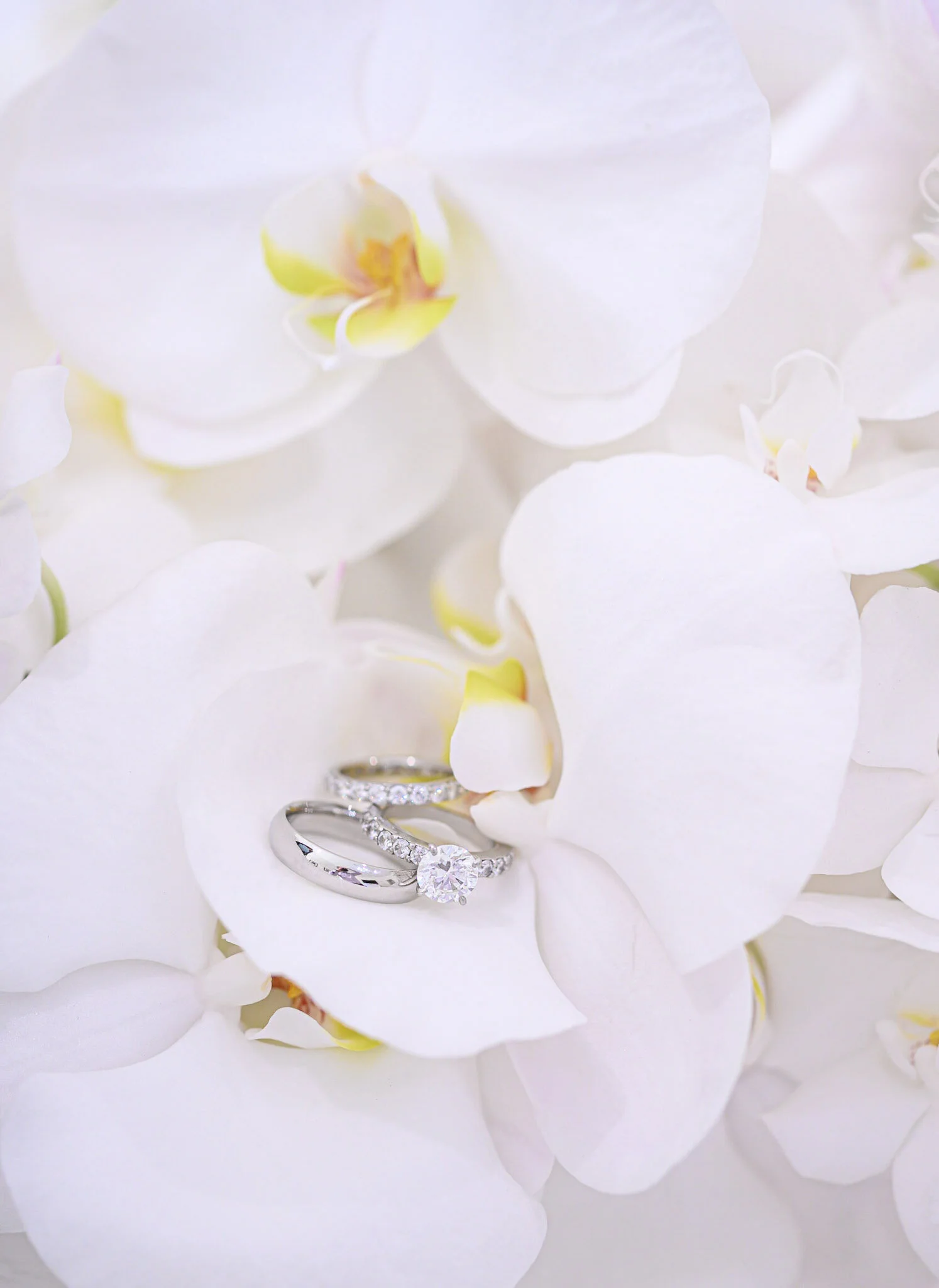 Close-up of a diamond engagement ring with a round solitaire diamond and a wedding band with small diamonds, resting on white orchid petals.