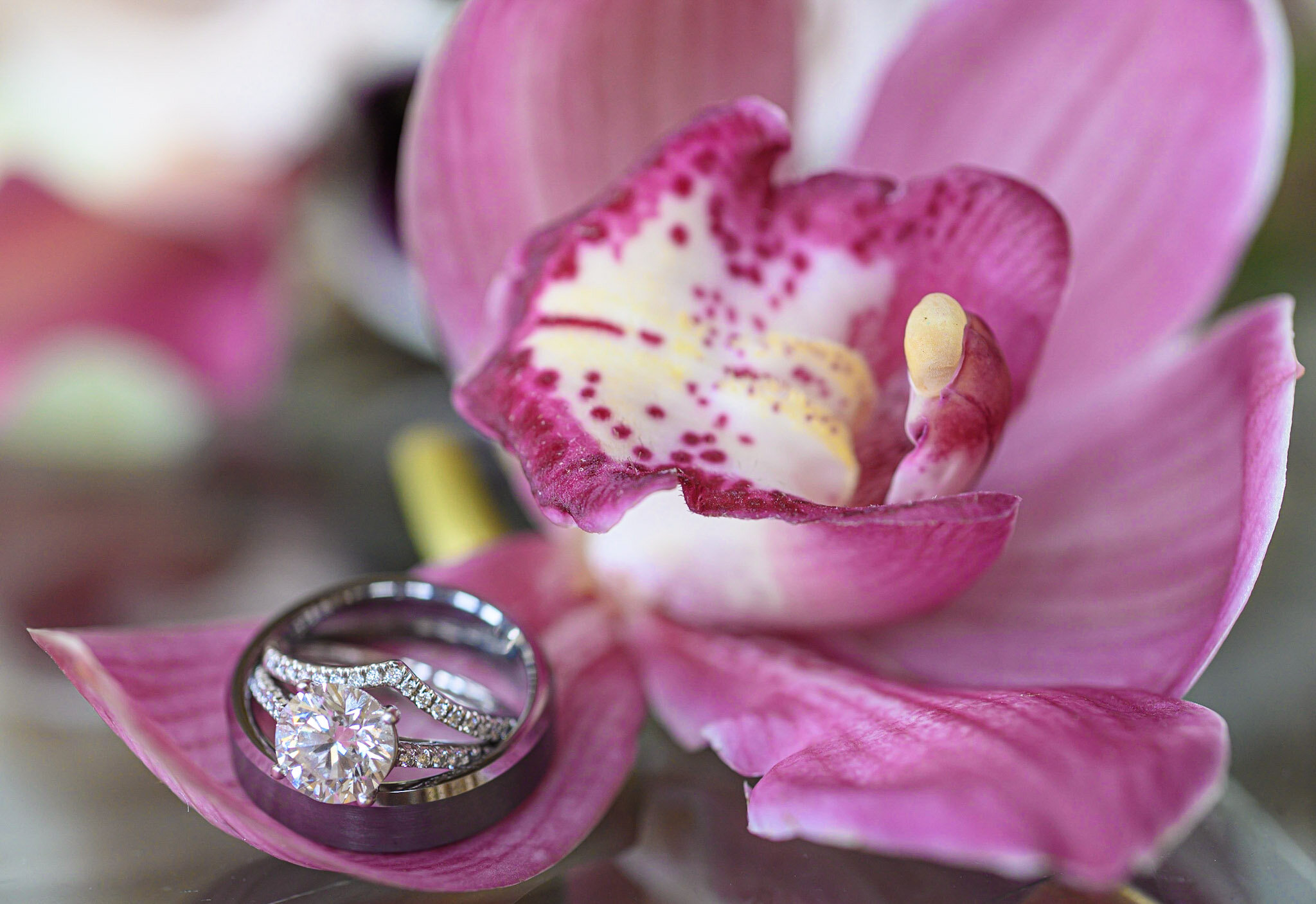 A close-up of a pink orchid flower with two rings resting on its petals, including a diamond engagement ring and an eternity band.