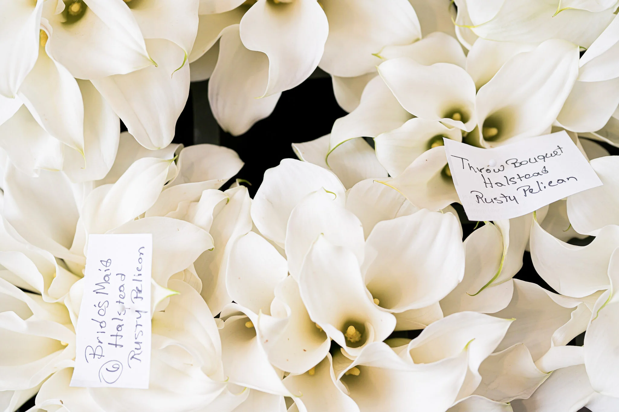 Close-up of a bouquet of white calla lilies with a handwritten note that reads 'Bachelor's Maid of Honor, Hallstader Rusty Pollen'.
