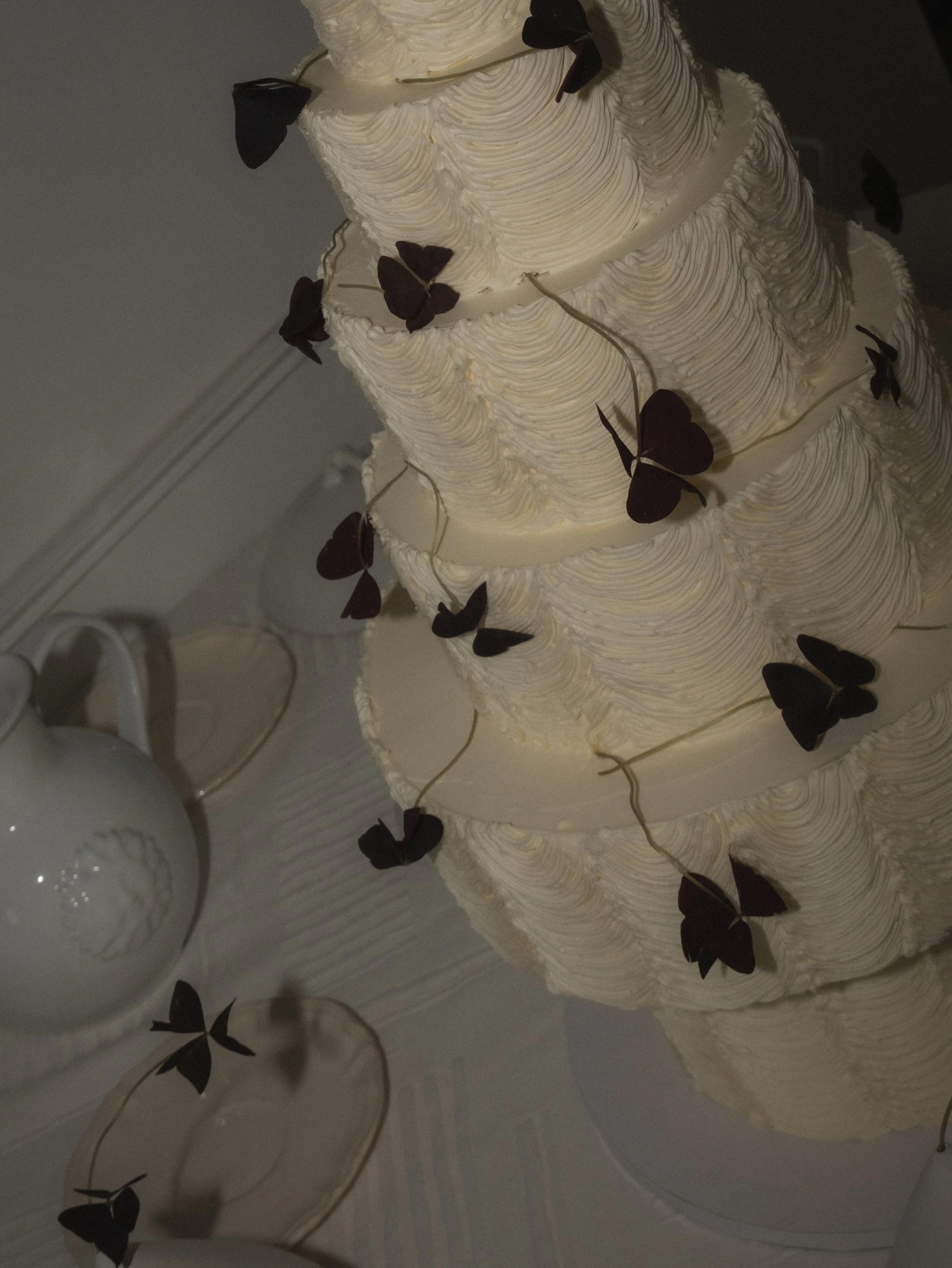 DSCF1071.jpg