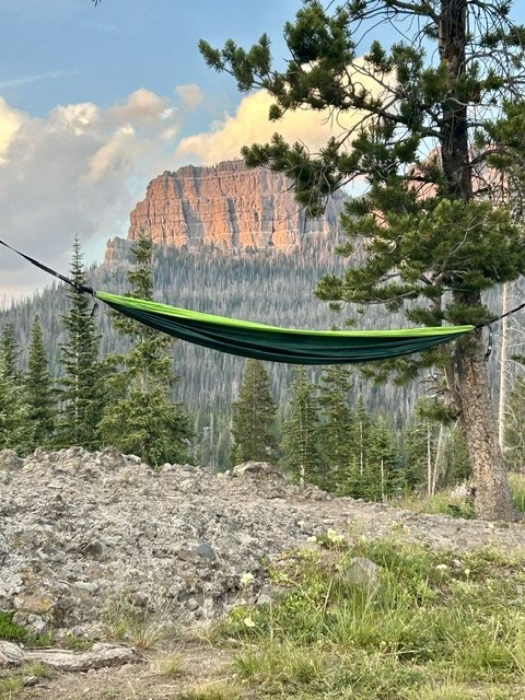 A green and black hammock tied between two trees in a forested area with mountains in the background new Dubois, Wyoming and a partly cloudy sky.