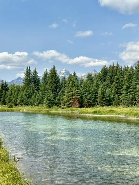 The Snake River in Jackson, Wyoming surrounded by green pine trees with the Teton mountains and a partly cloudy sky in the background.