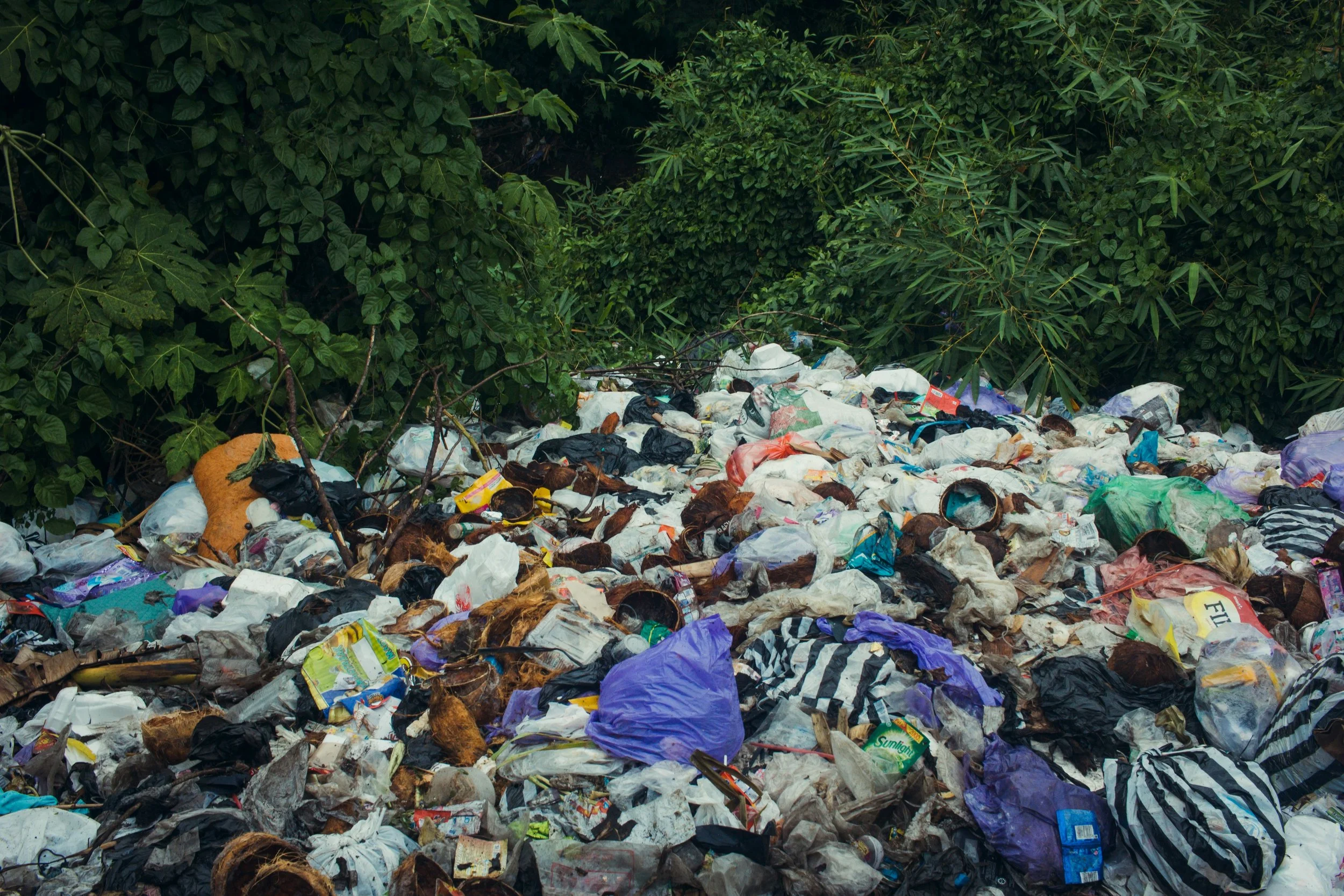 A large pile of trash and garbage overflowing onto the ground, surrounded by dense green foliage.
