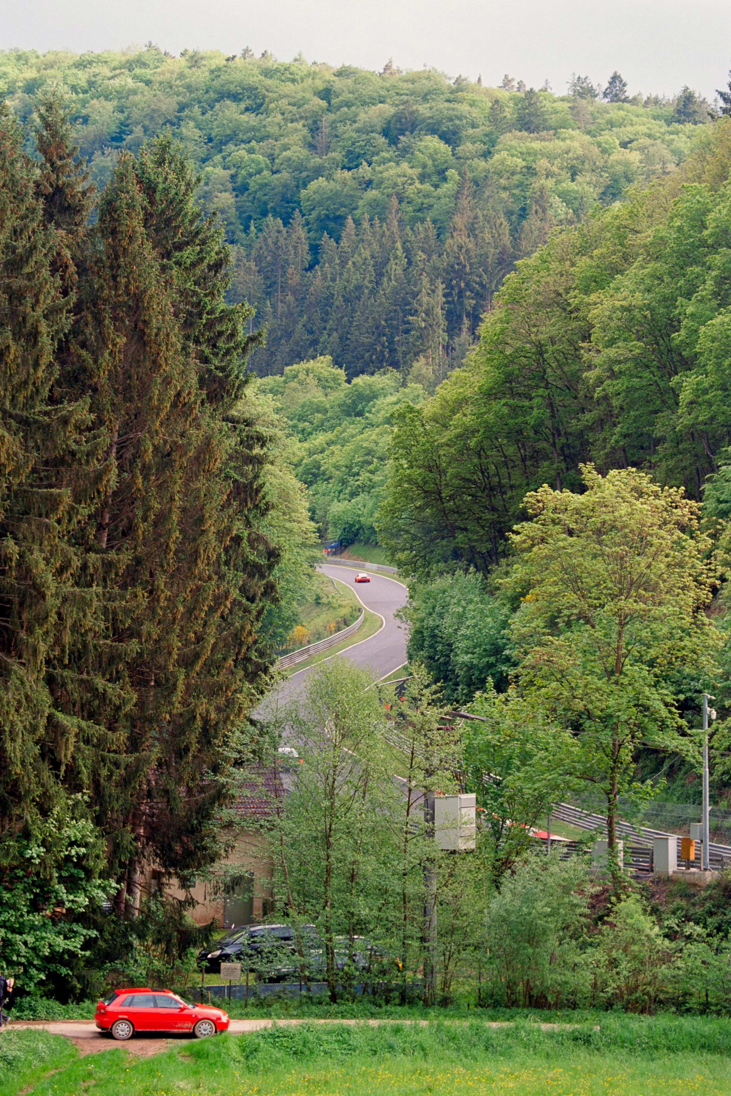 245A7948.jpg