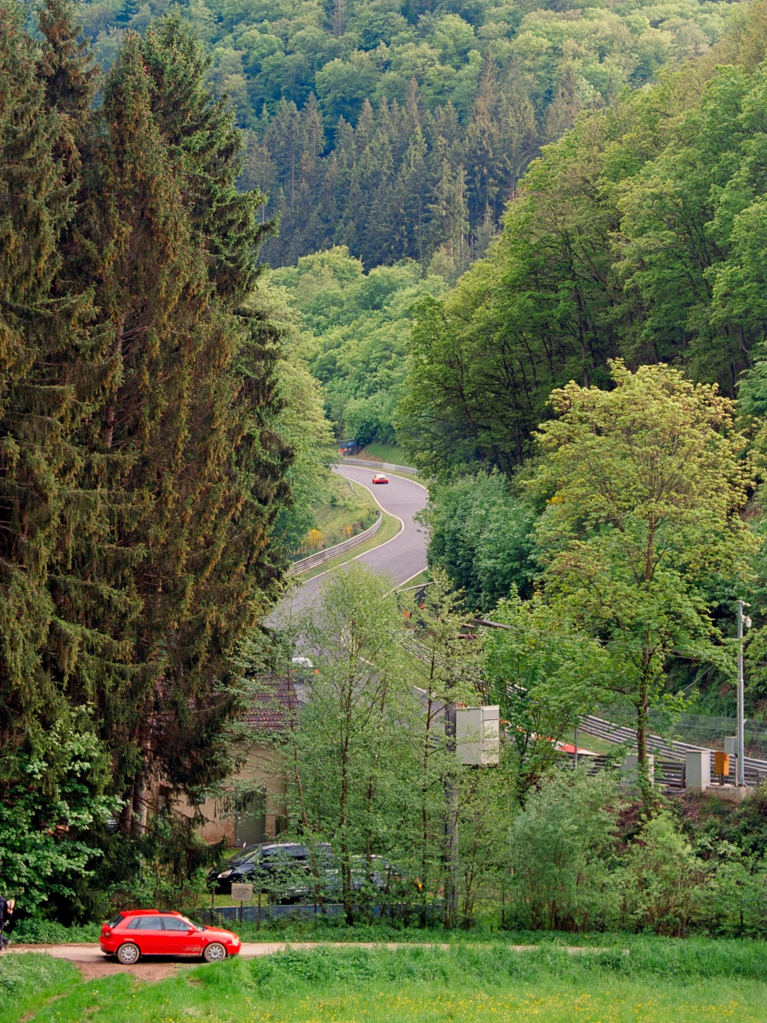 245A7948.jpg
