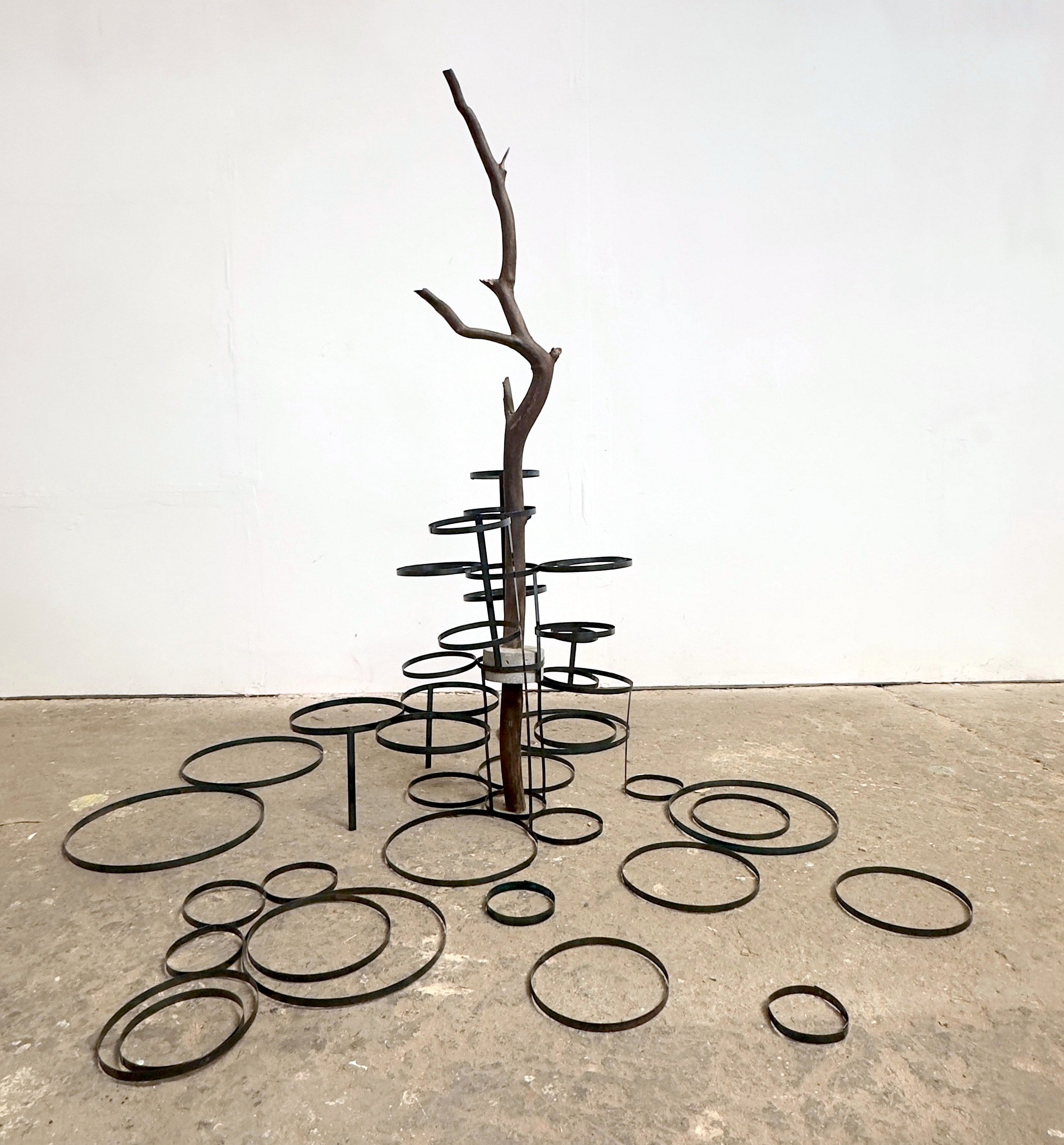 Encircled body I 2026 wood, steel strapping, cement 140 × 140 × 140 cm