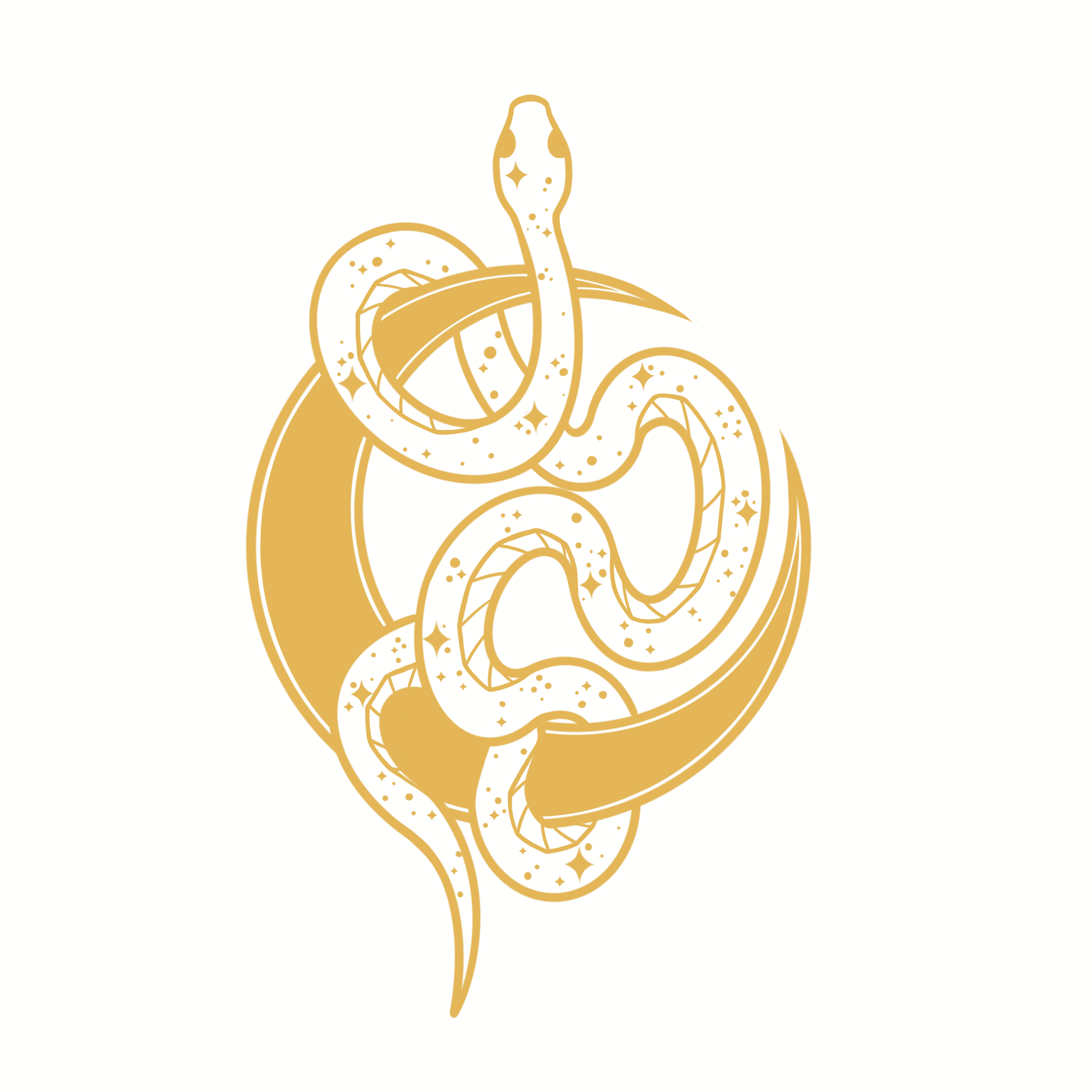 Untitled_Artwork(4).png