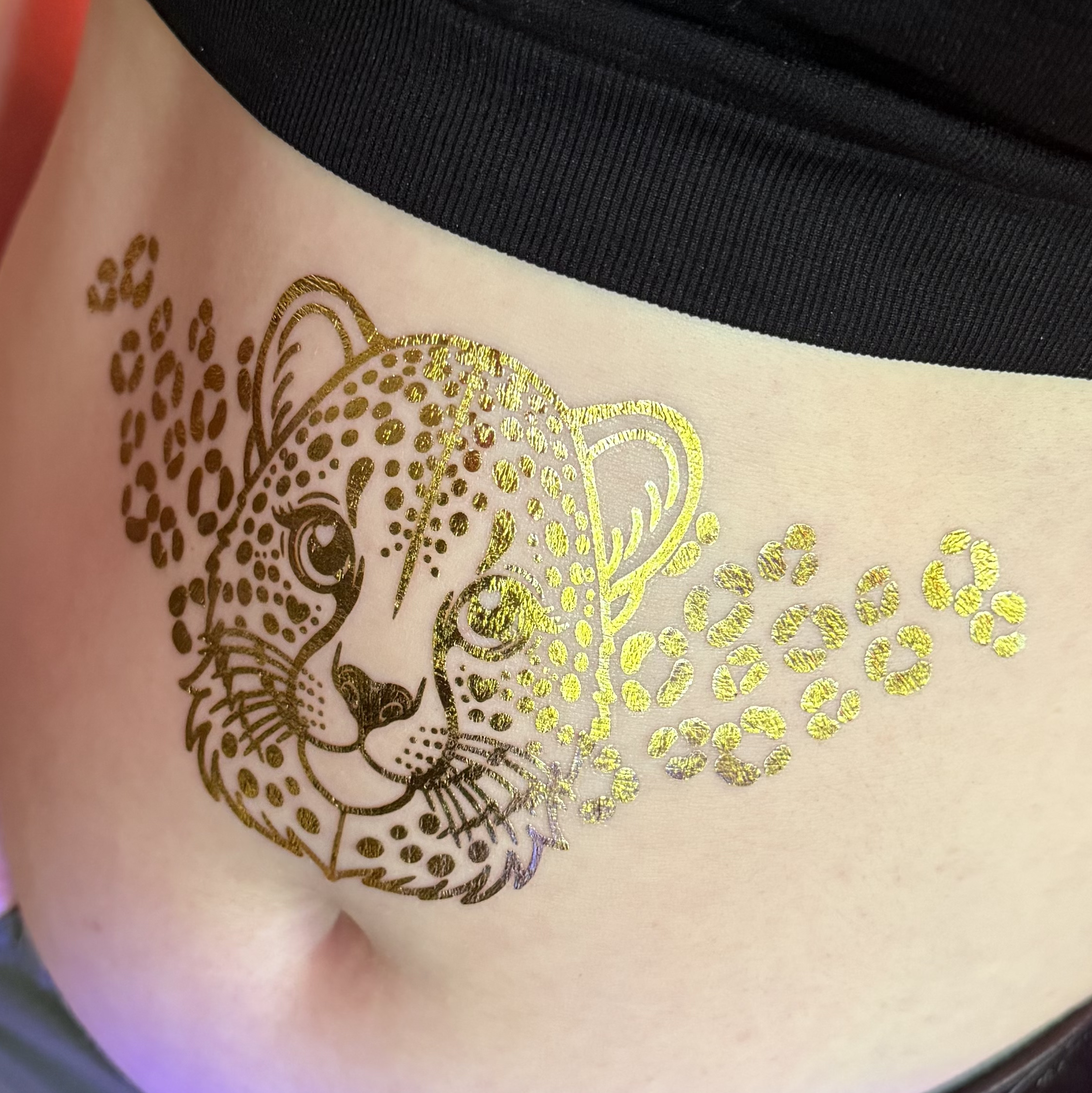 CheetahEnsembleMBodyModelA.png