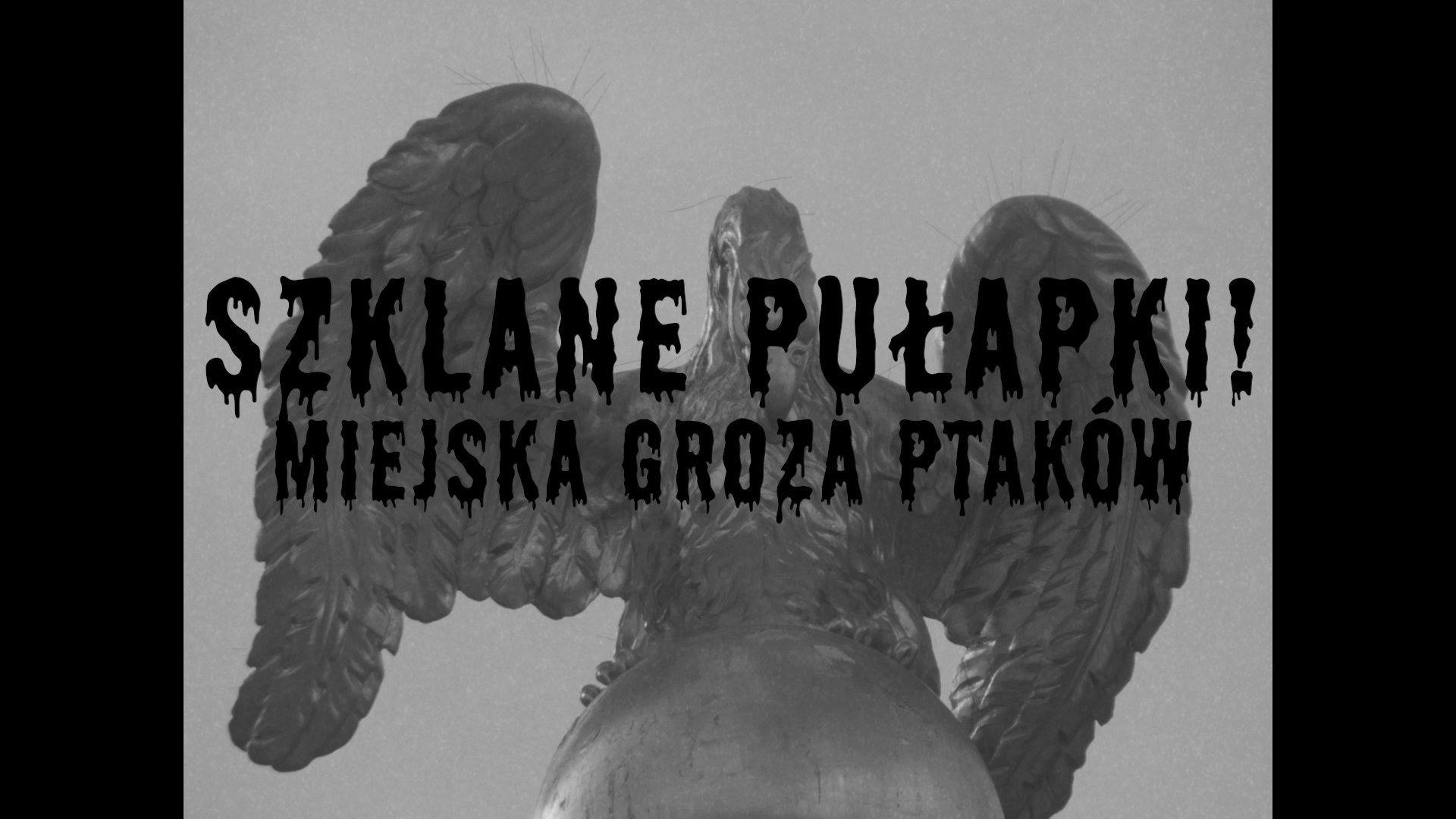 A black and white image of a statue of an eagle with outstretched wings, perched on a globe. There is bold, dark text over the image that reads, "Sztajne Pulapu! Miejska Groza Ptaków," which appears to be in a foreign language.