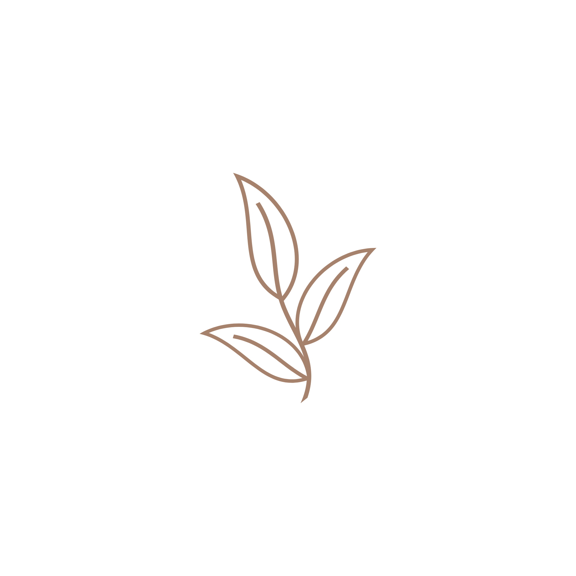 A stylized, thin brown line drawing of a plant with three leaves.