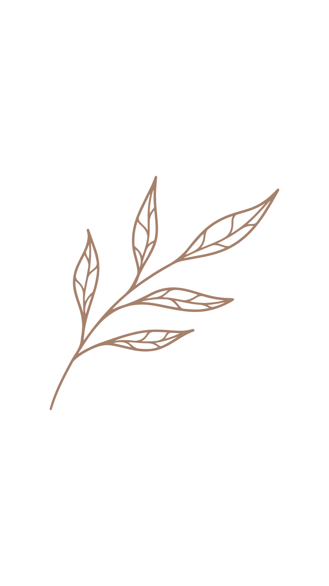 A simple, delicate line drawing of a branch with elongated leaves in brown.