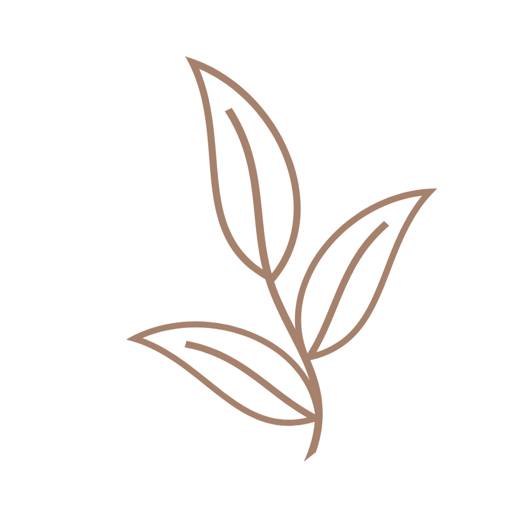 Simple line drawing of a branch with three leaves, minimalist design in brown color.