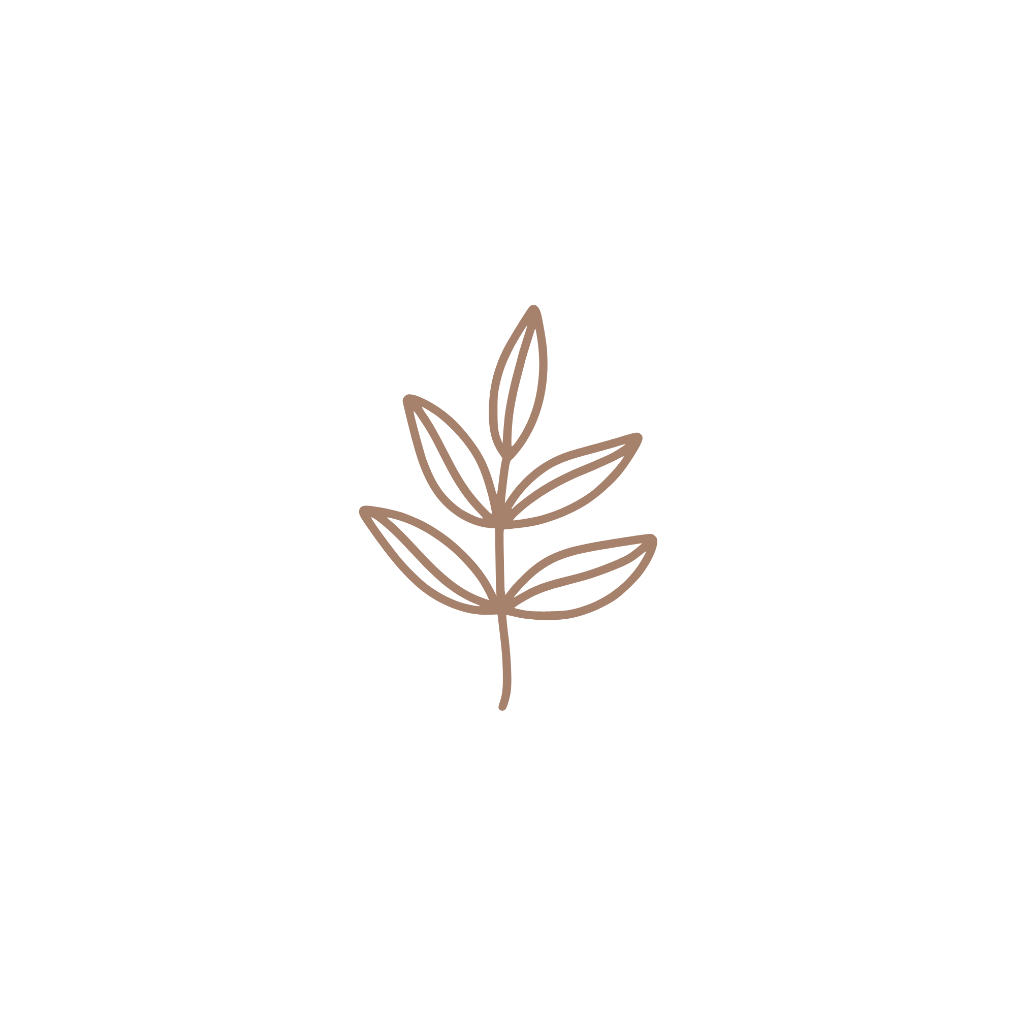 Minimalist line drawing of a plant with five leaves, depicted in brown.