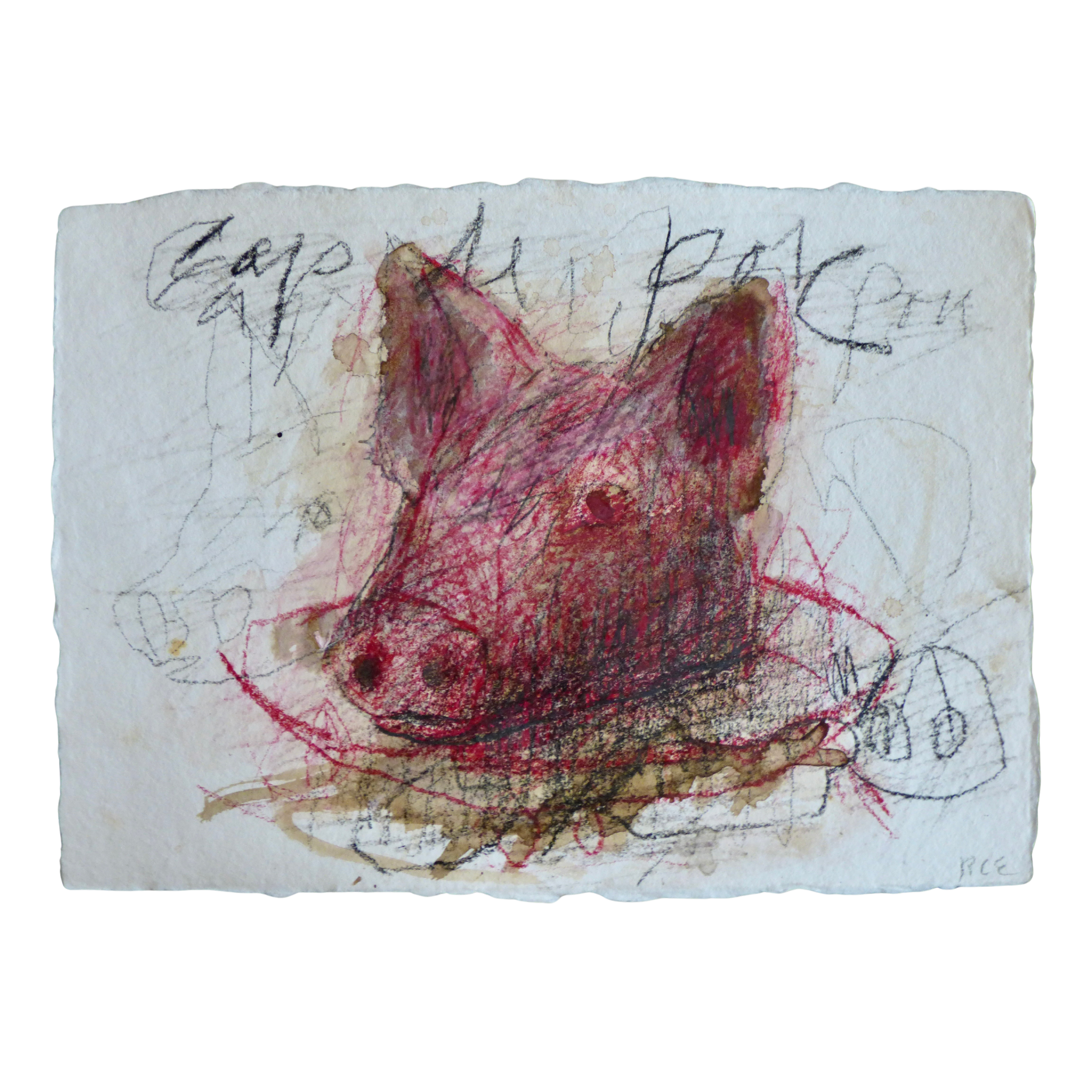 Cap de porc // Tête de cochon