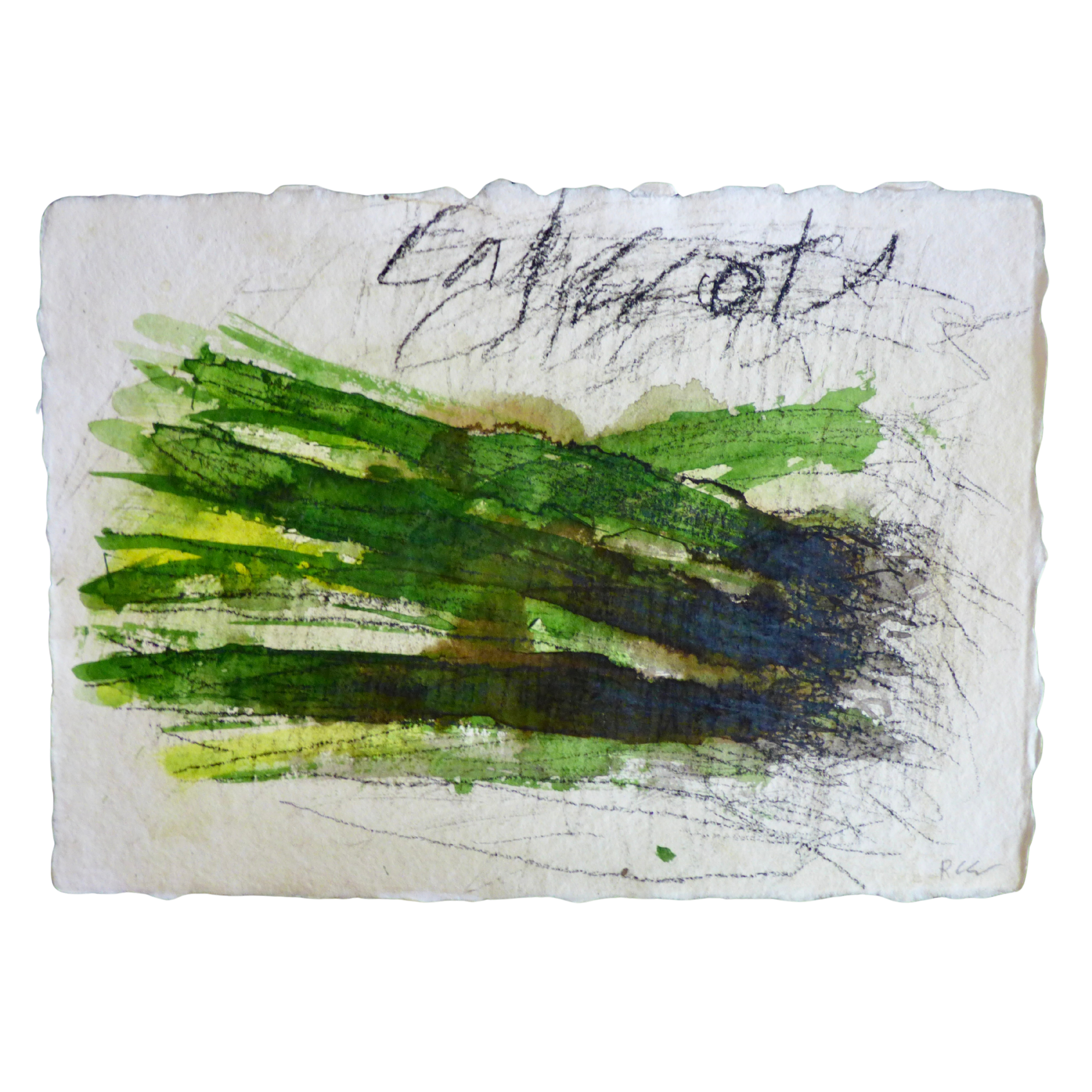 Calcots // Pousses d'oignon
