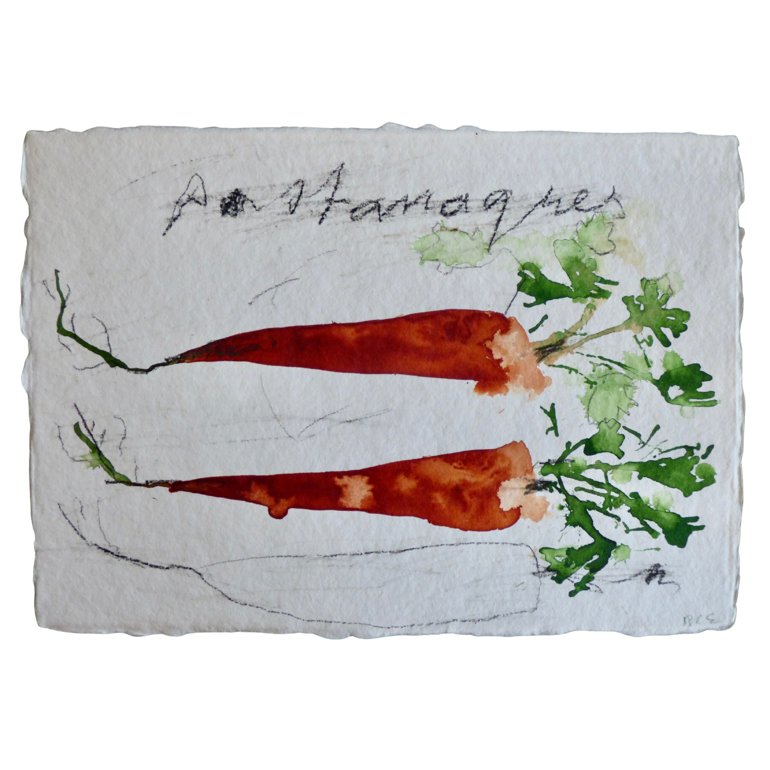 Pastanagues // Carottes