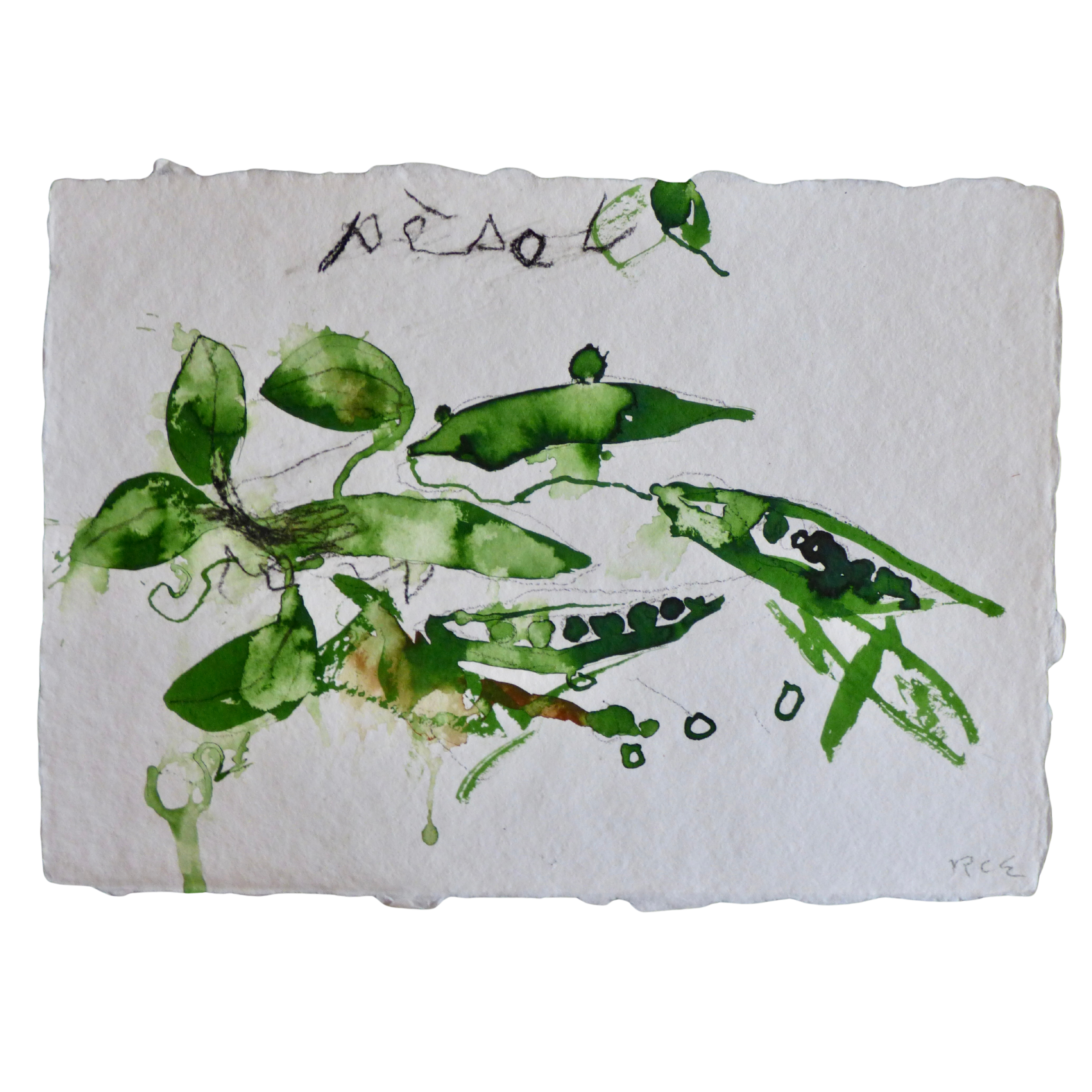 Pèsols // Petits pois