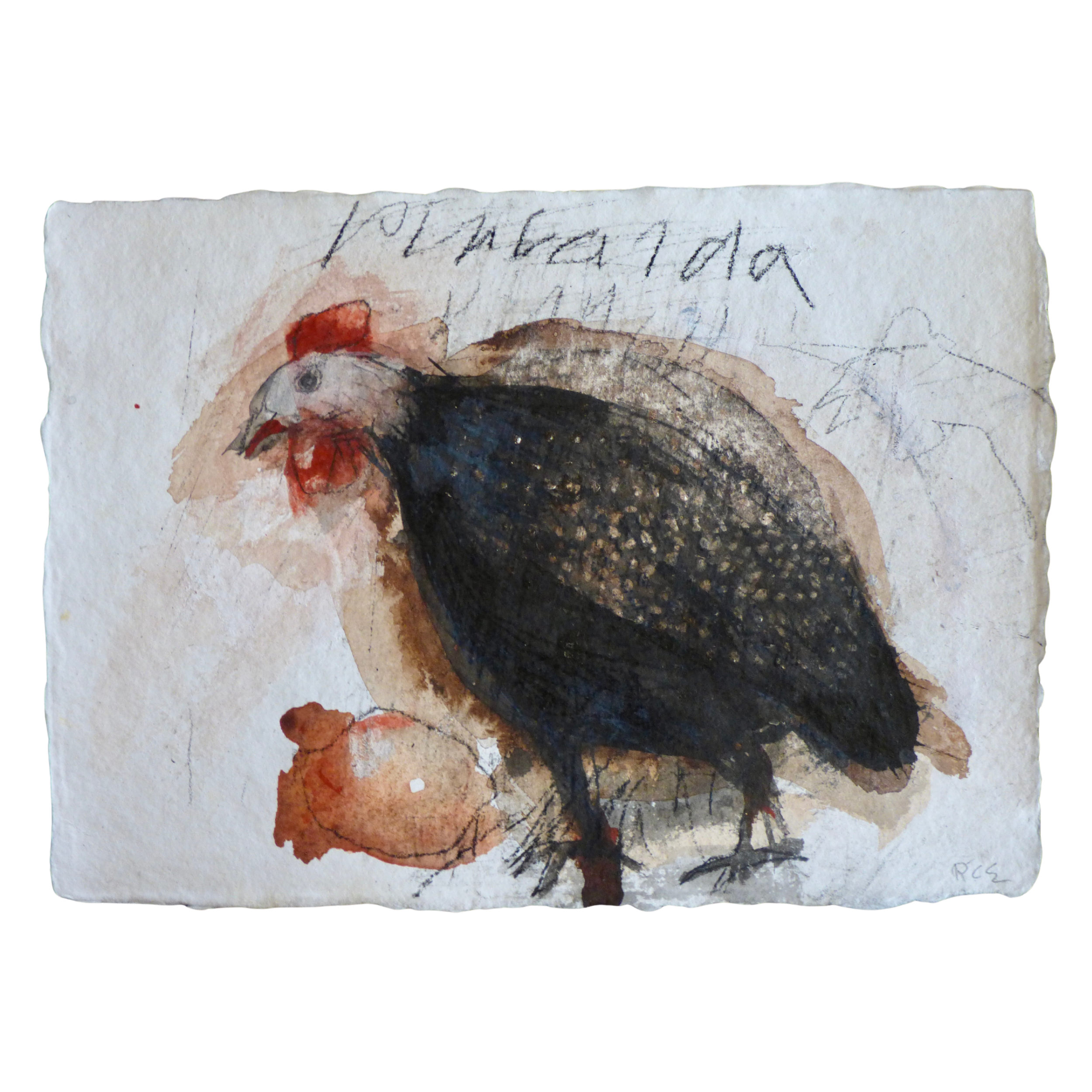 Pintada // Pintade