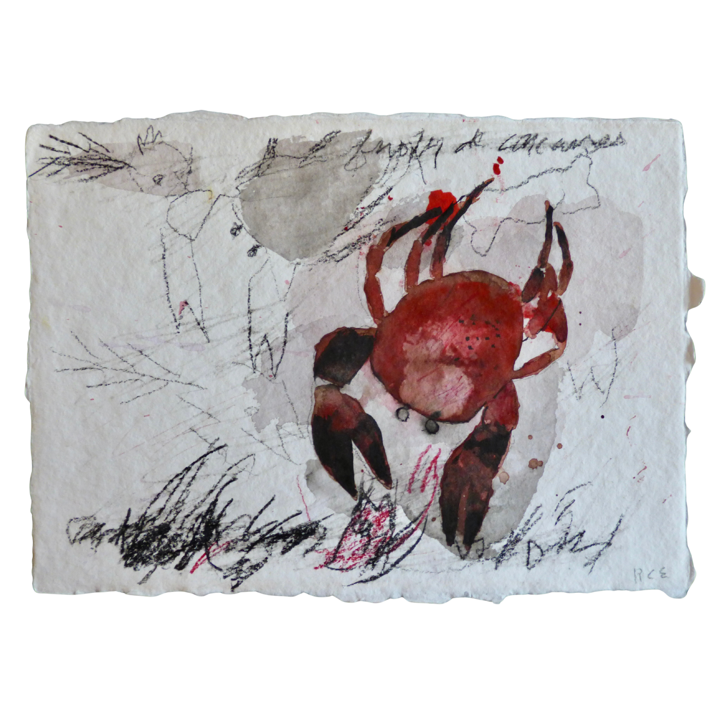Franquet // Crabe