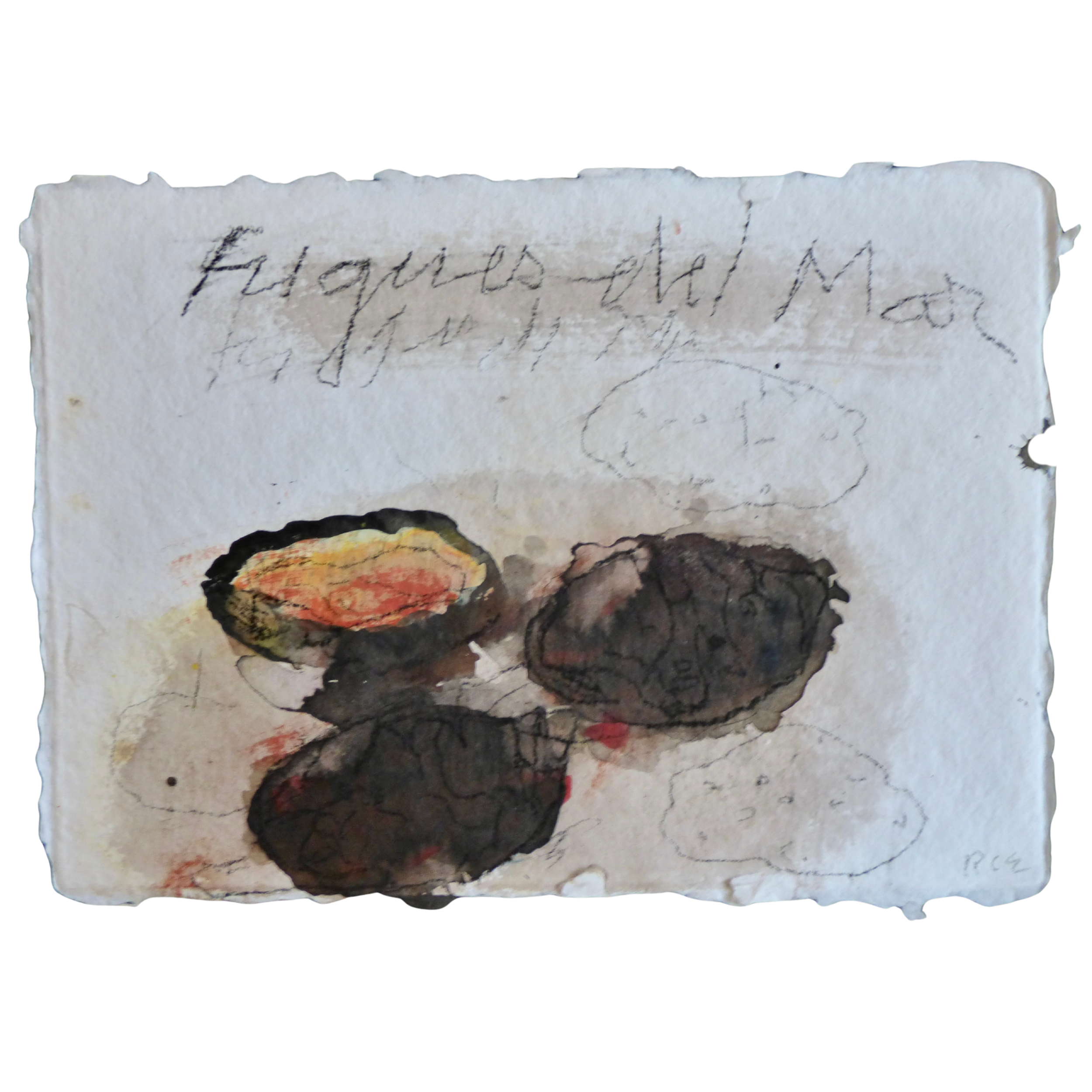 Figues del mar // Violets