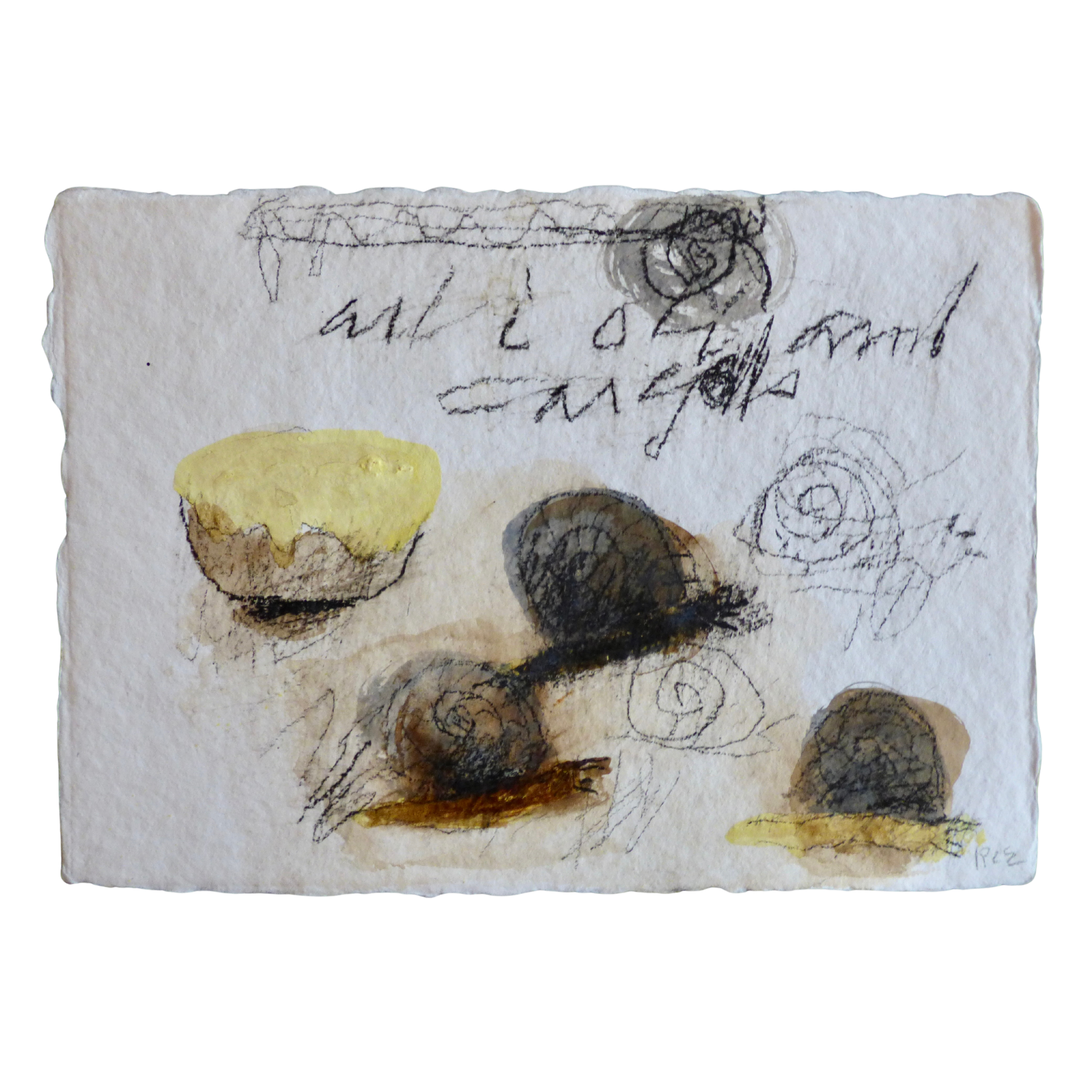 Cargols i allioli // Escargot et aïoli